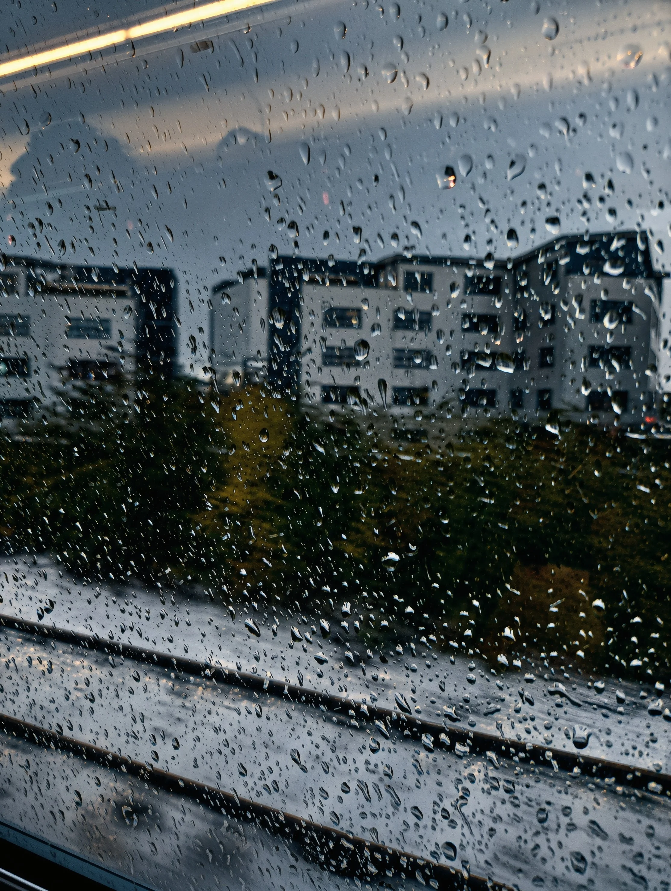 [Les murs avaient sign&eacute; avant nous] In treno tra Aberdeen e Edimburgo, Scozia, novembre 2025 #Scotland #ScotlandPhotography #VisitScotland #Aberdeen #Edinburgh #TrainJourney #TrainPhotography #RailwayPhotography #ThroughTheWindow #WindowPhotog