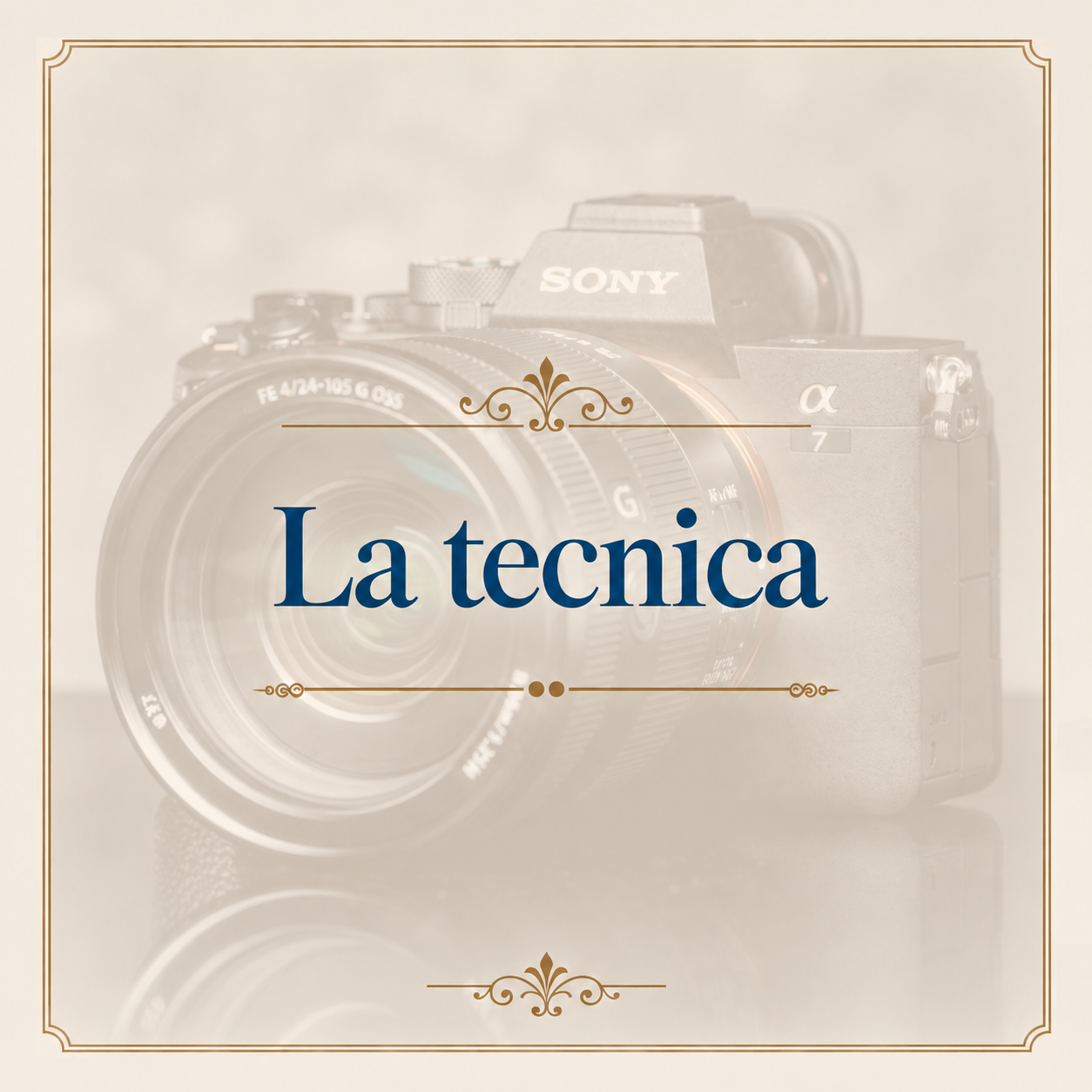 La tecnica
