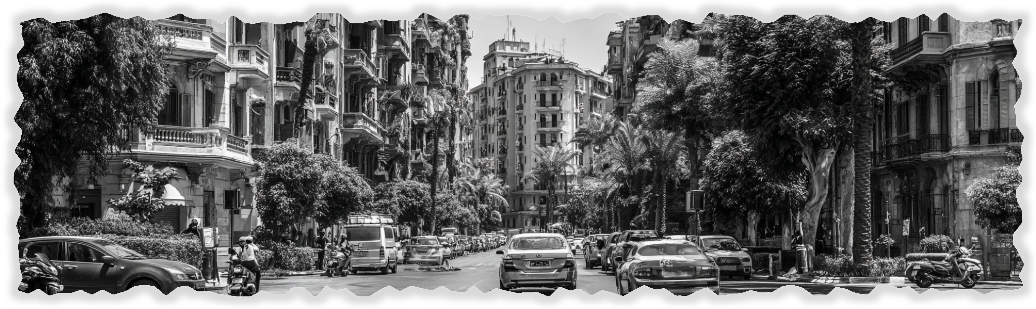 Una strada nel centro di una città con edifici storici, alberi e veicoli in movimento, scena in bianco e nero.