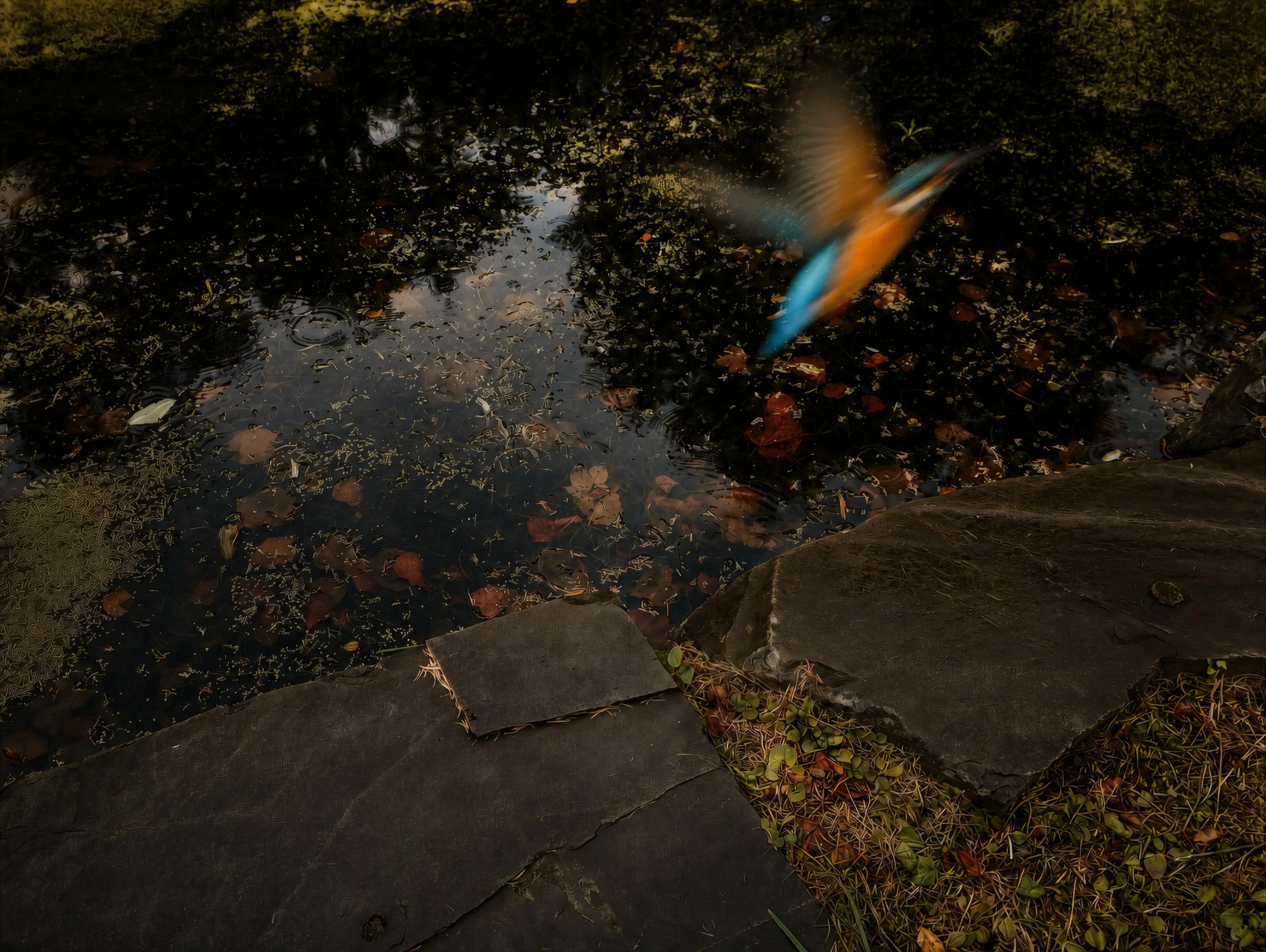 Endless Path
