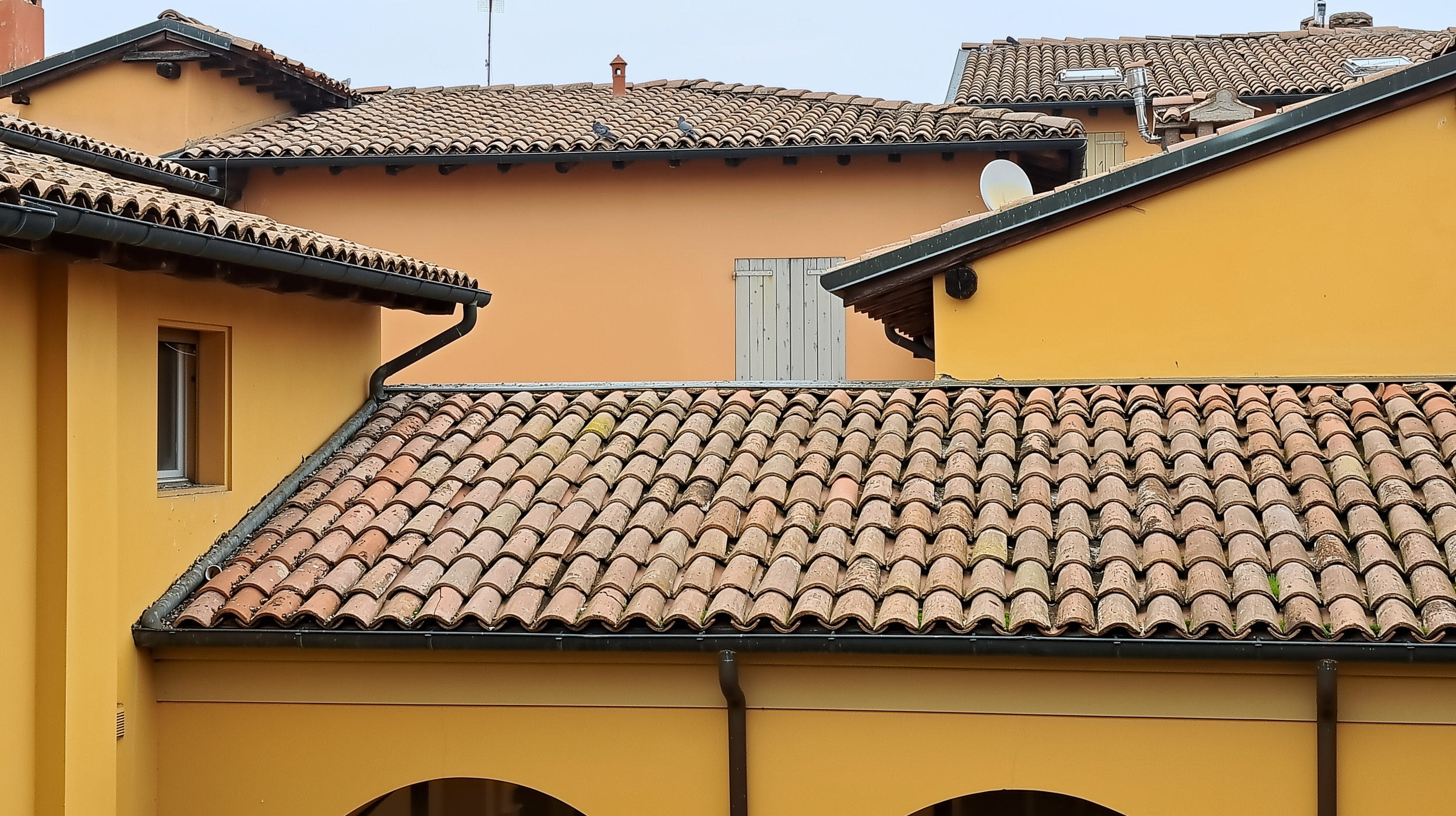 Seduction of the Yellow Walls