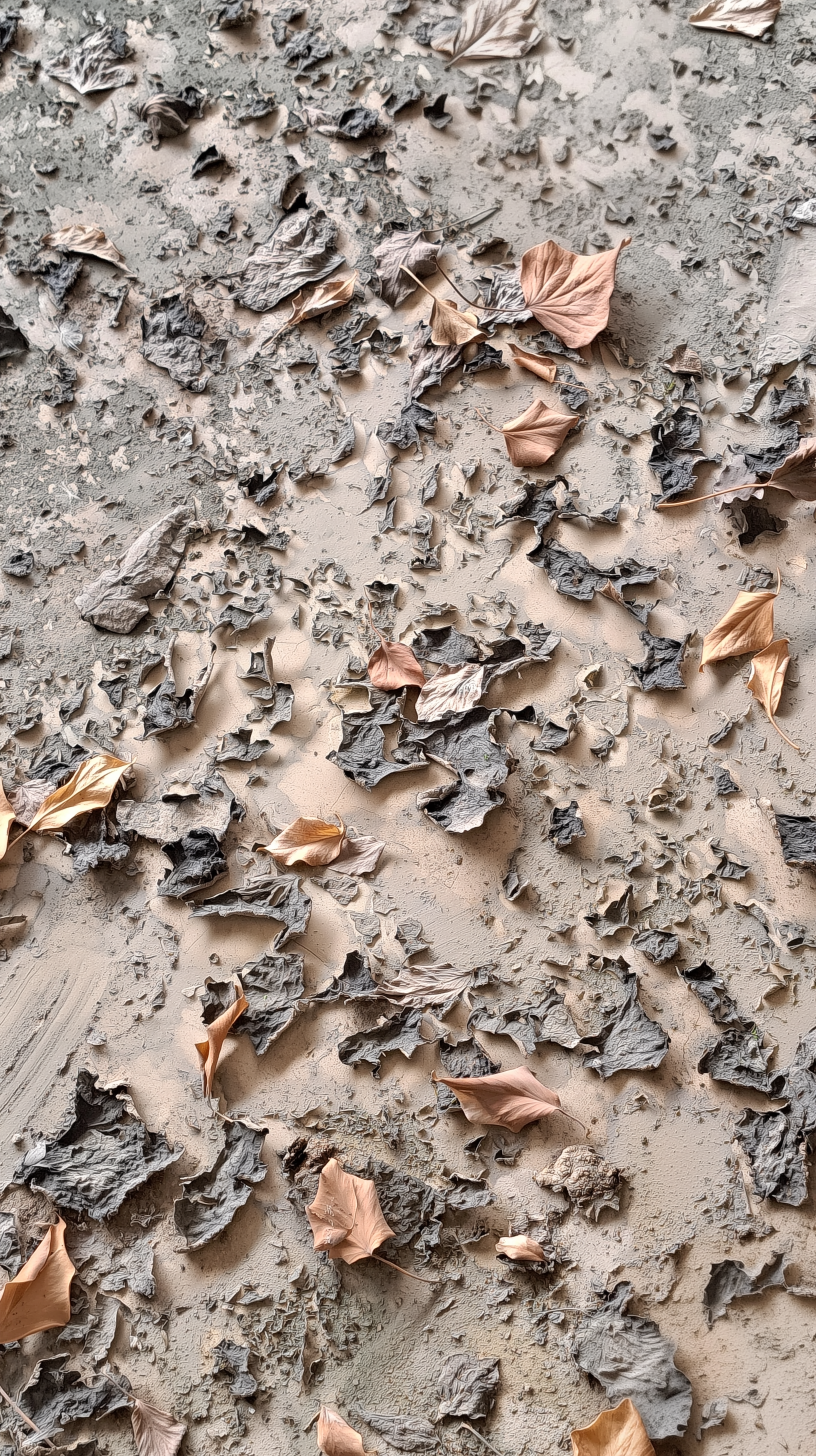 C'era un impianto industriale dismesso