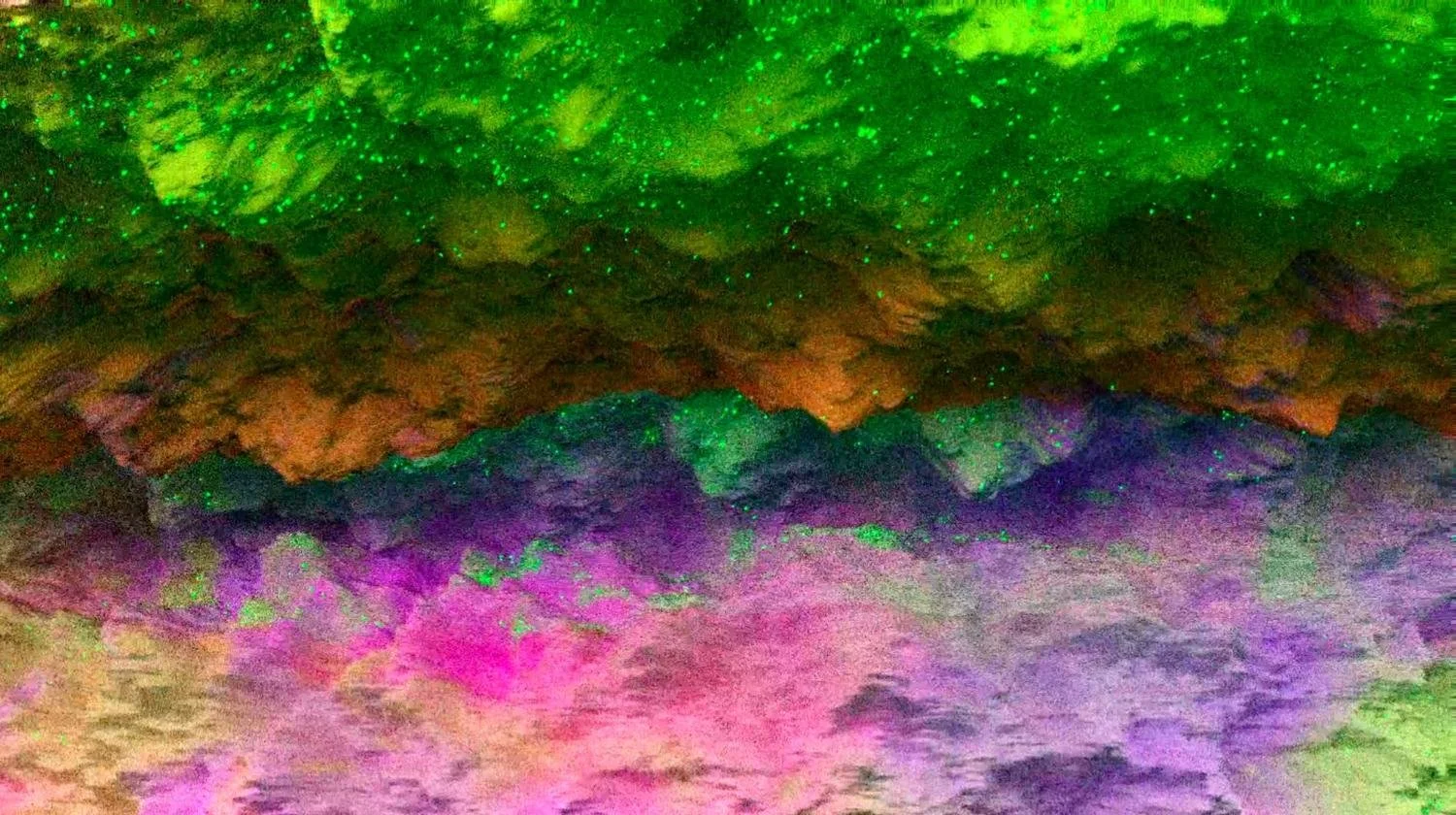 Screenshot-2022-06-08-161645.jpg
