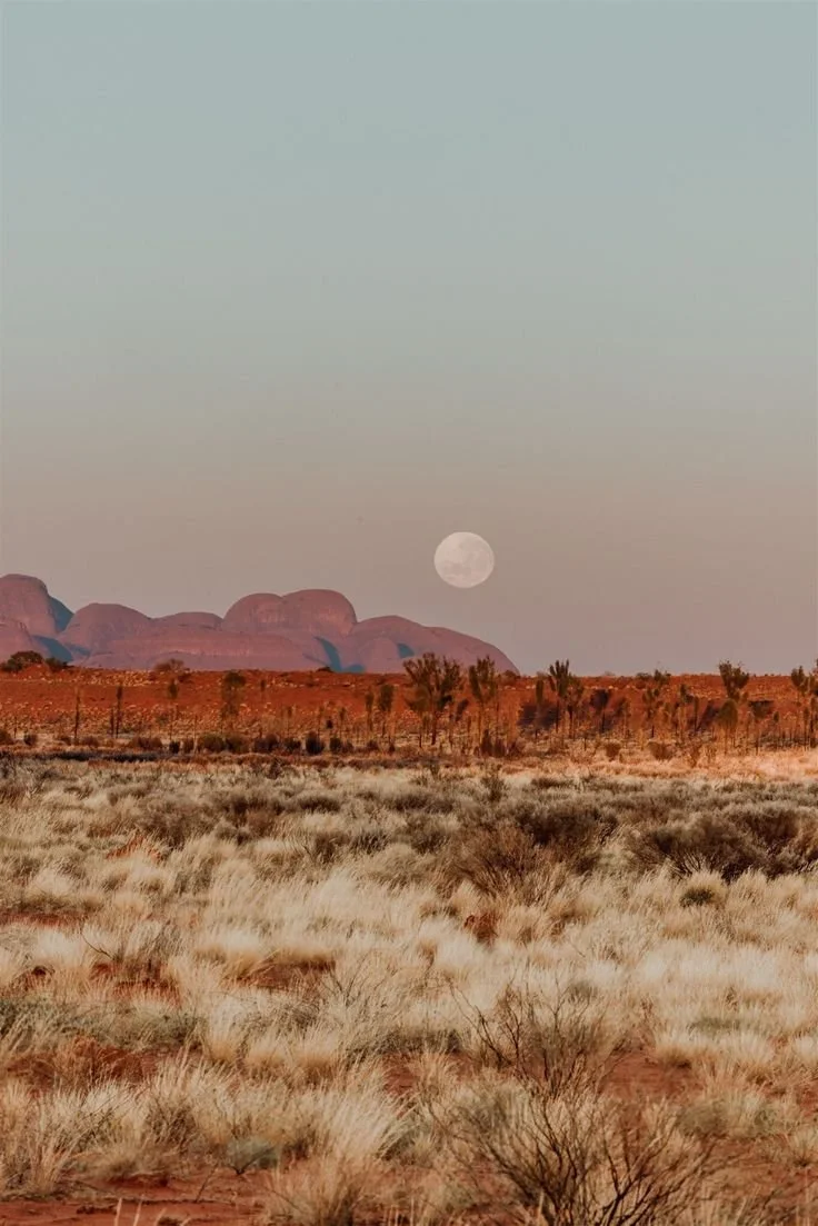 Desert landscape at dusk with a full moon, reddish mountains in the background, and sparse desert vegetation in the foreground.