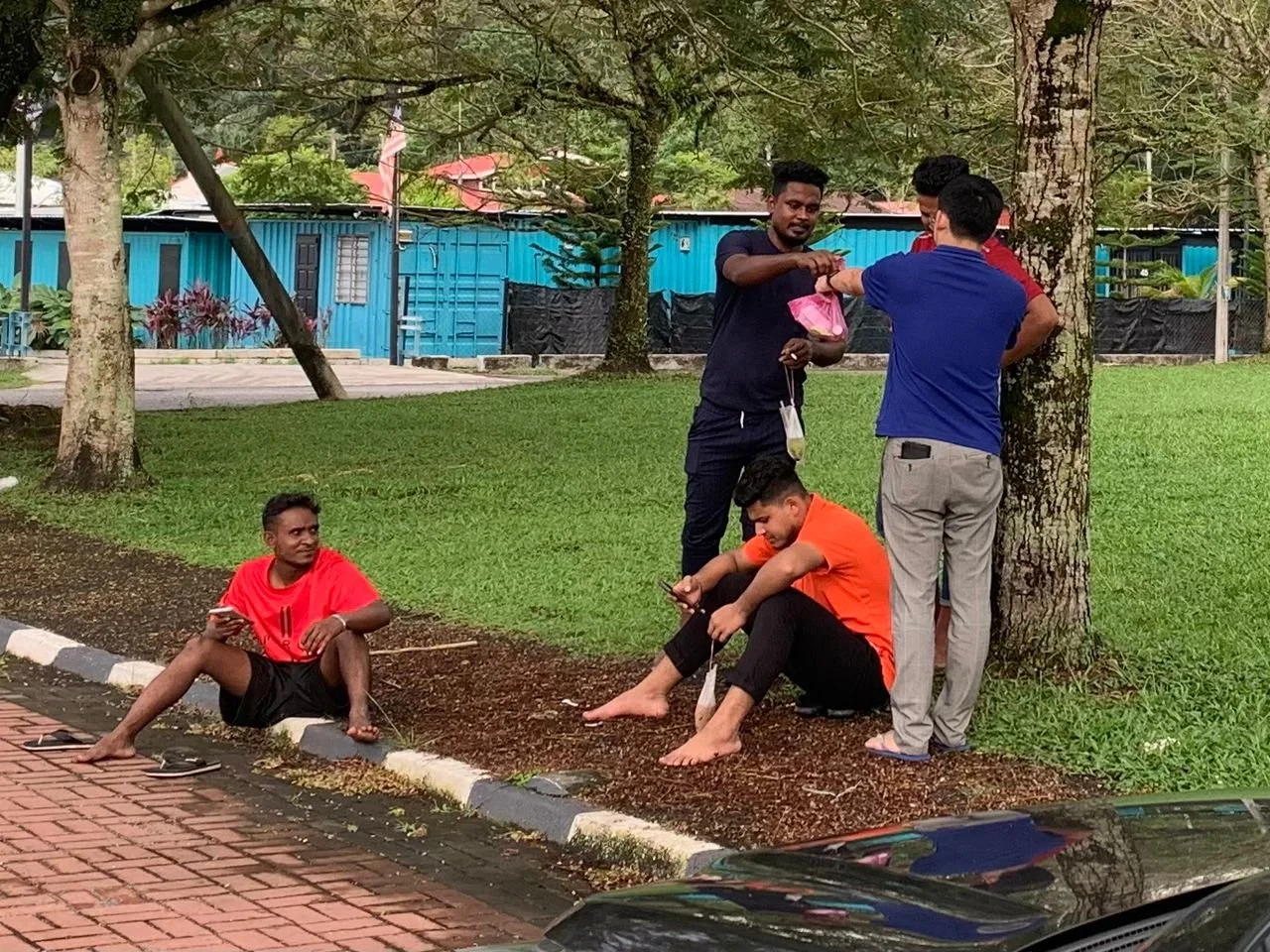 WhatsApp Image 2025-12-21 at 17.11.36.jpeg