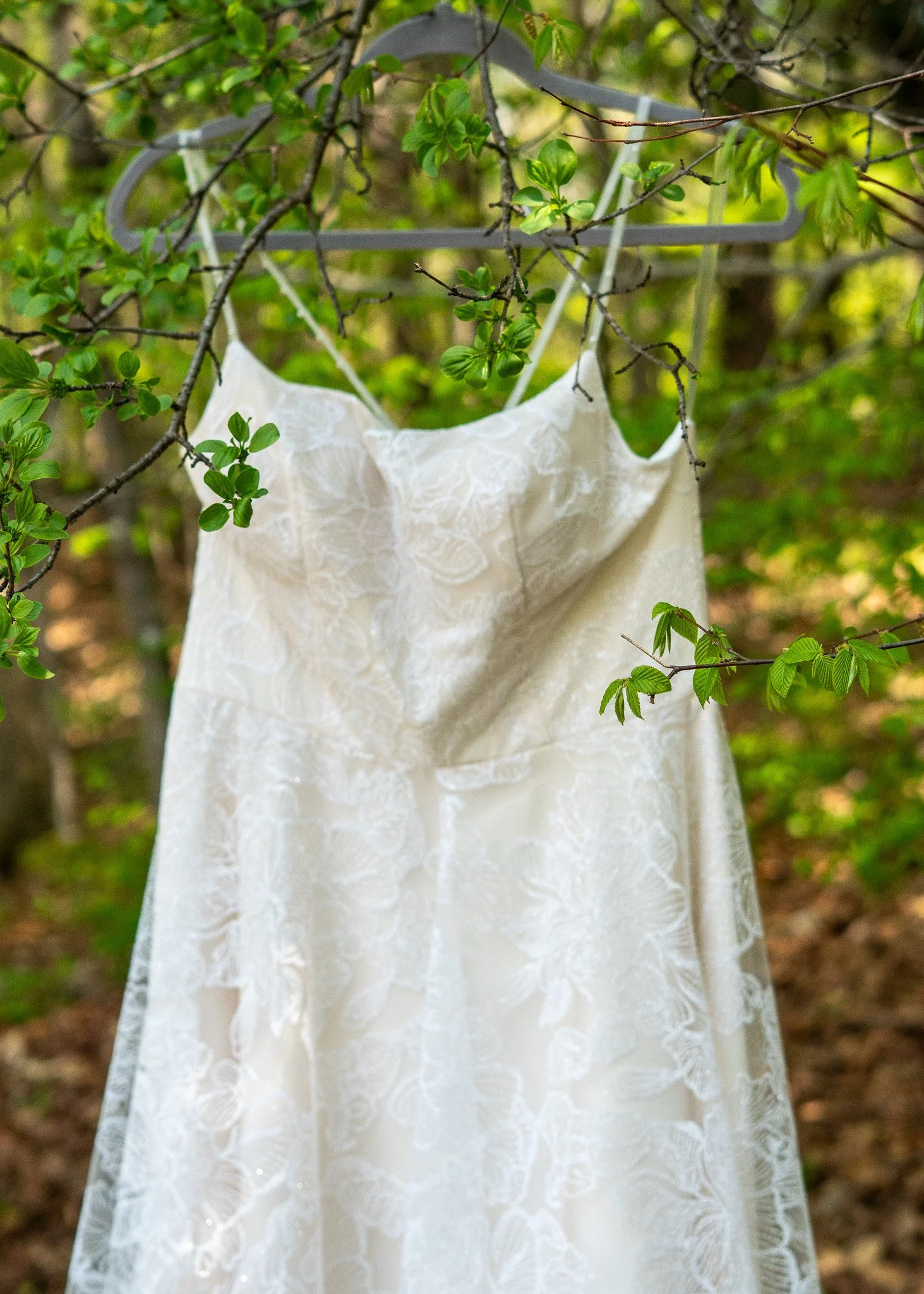 DSC00413 05-03-25 Aubrey and Tylers Wedding.jpg