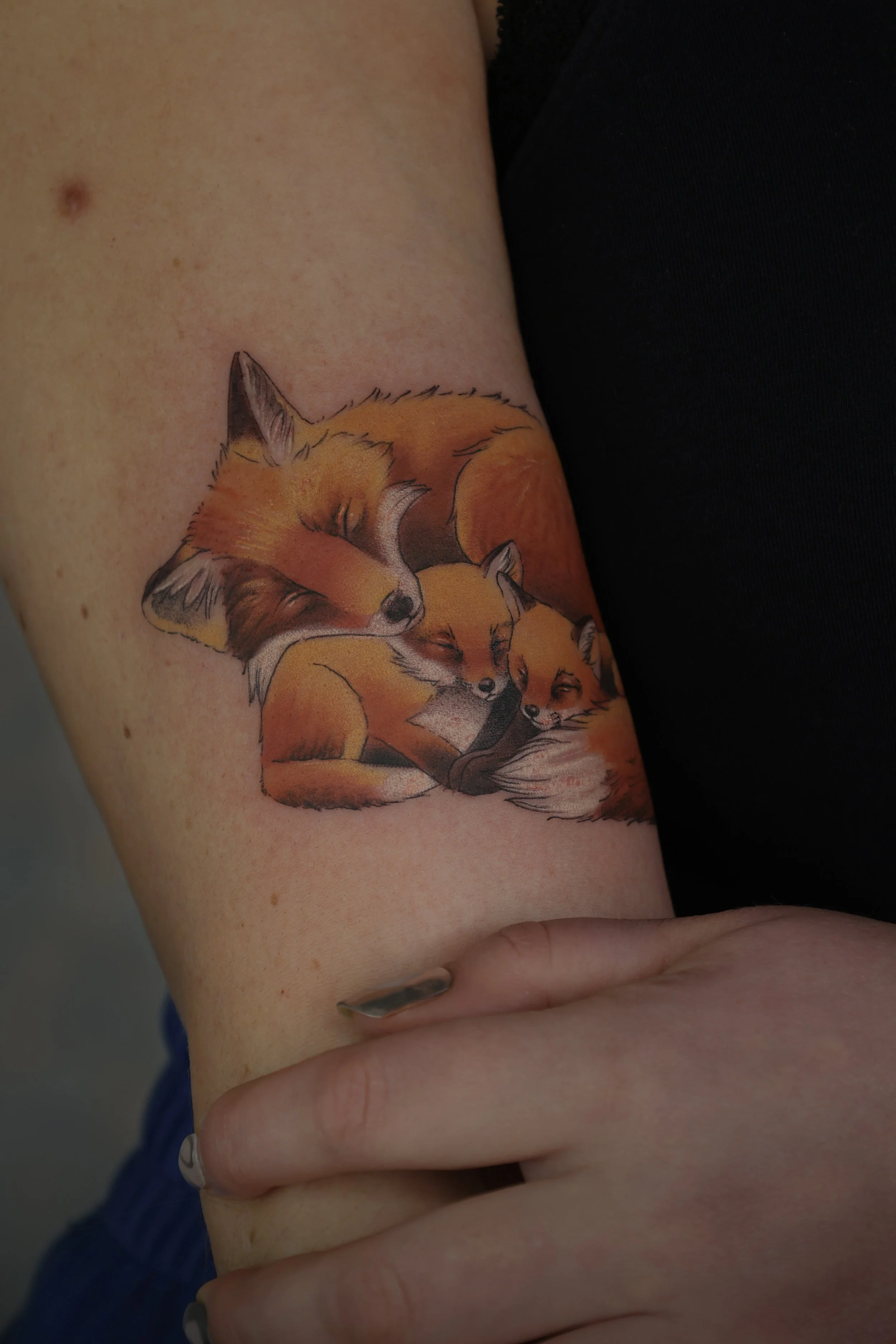 Farbiges Tattoo mit feinen Linien, Fuchs Familie auf Oberarm, schlafen niedlich