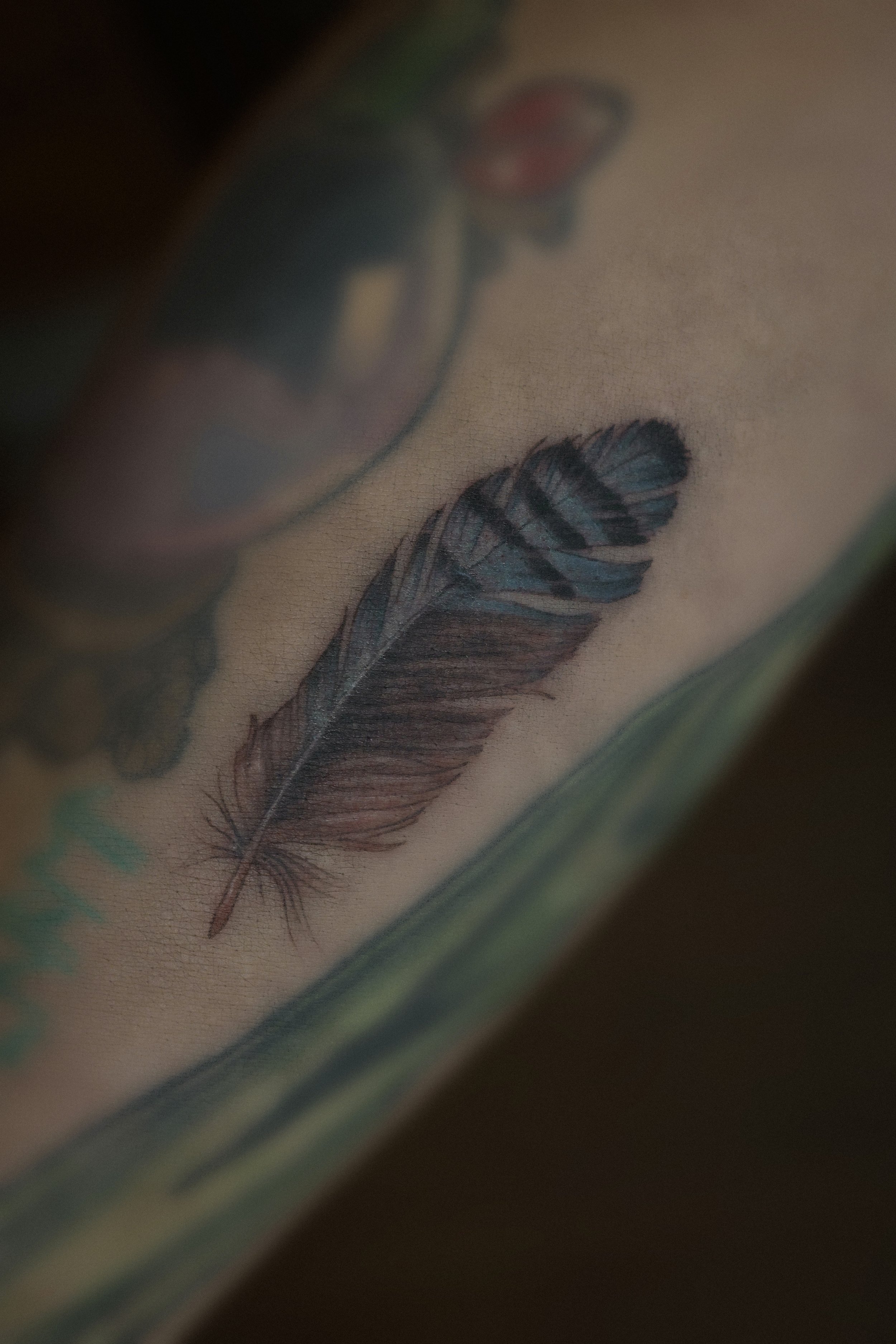 Farbiges Tattoo einer Eichelhäher Feder