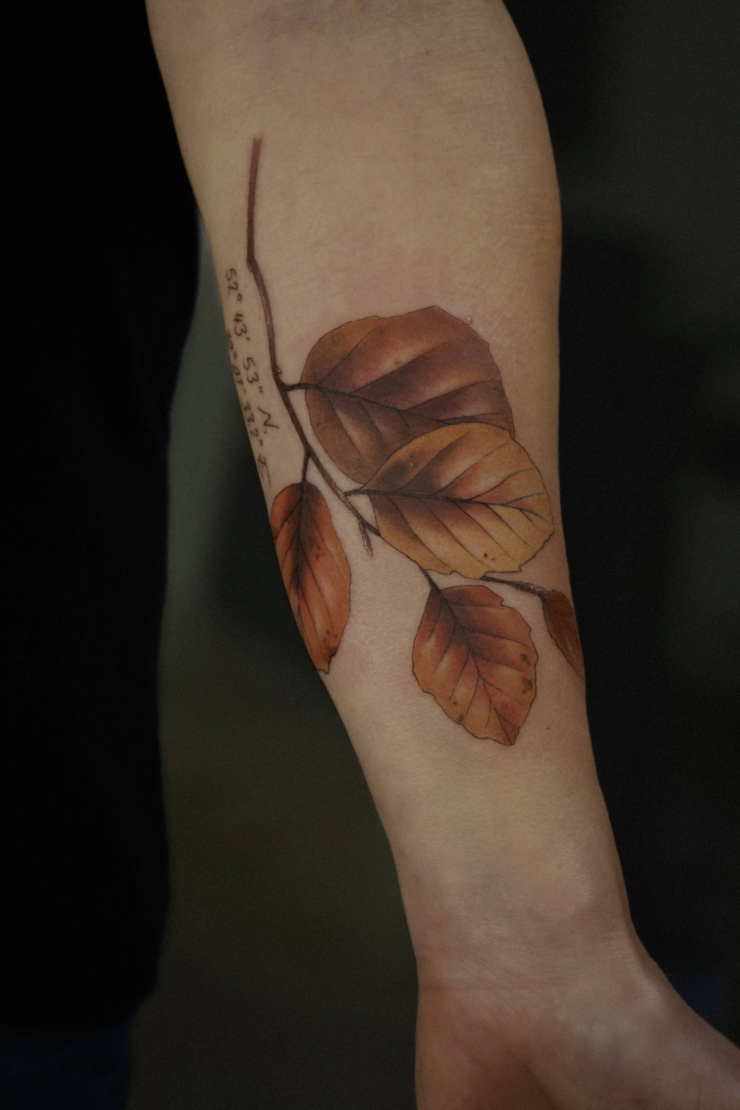 Farbiges Tattoo auf Unterarm, Buchenzweig im Herbst