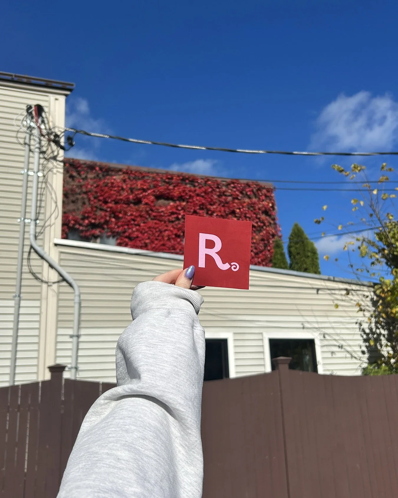 Color inspo all around town 🍁