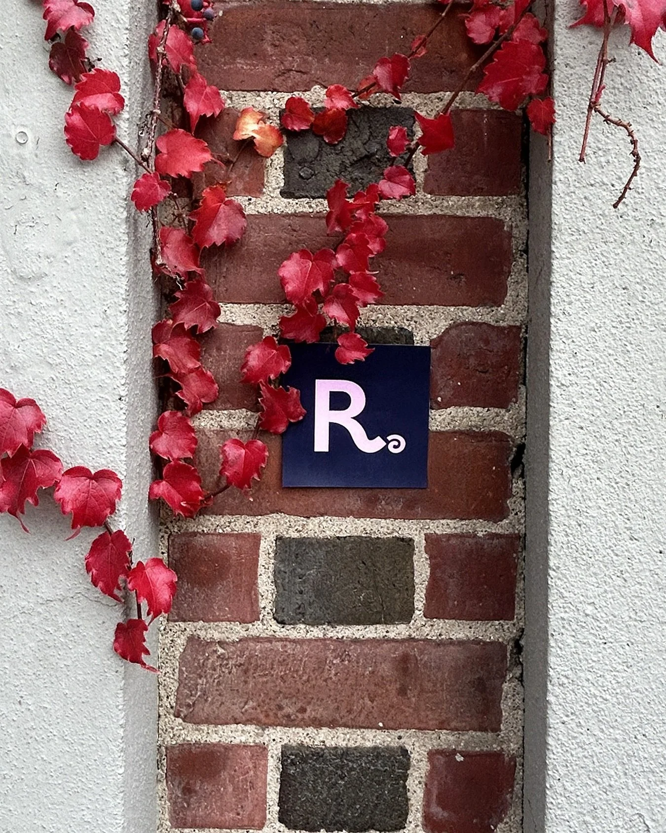 Is it just us, or are we seeing Routine everywhere?