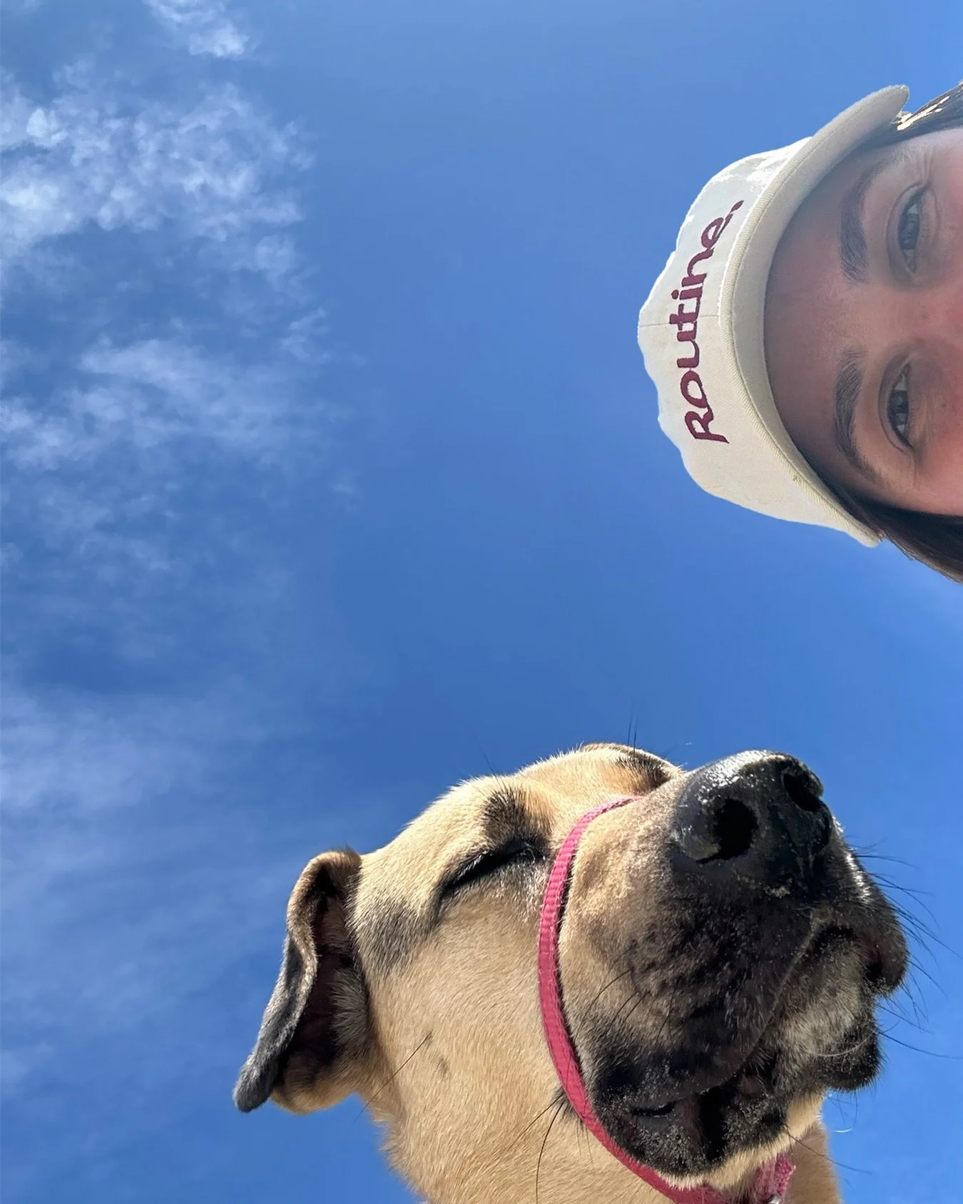 blue skies ahead&hellip; we&rsquo;re so back ☀️🙂&zwj;↕️

something cute is coming soon for our furry friends 🐾