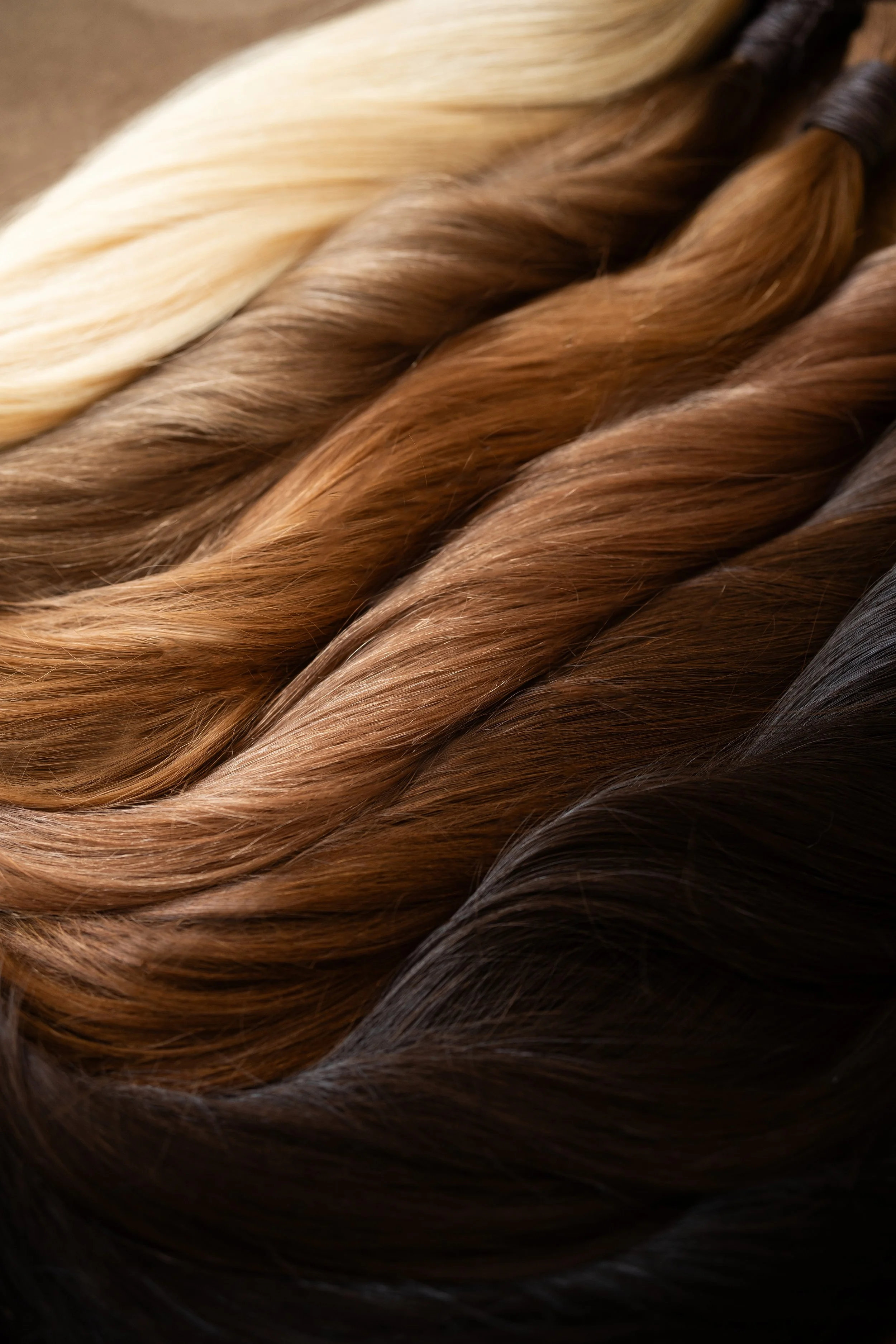 Tranças de cabelo em várias tonalidades de castanho, loiro e preto.