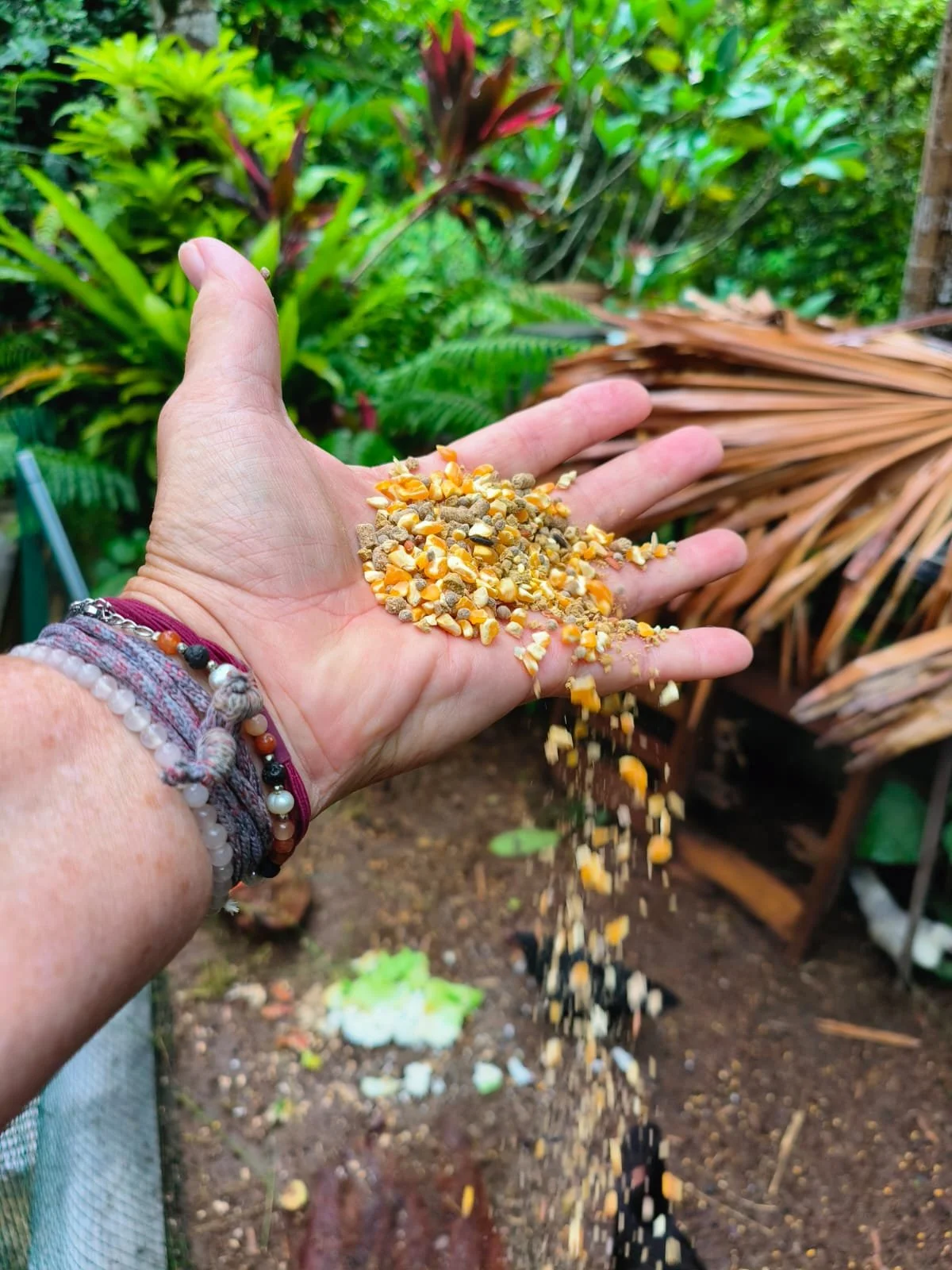 Loslaten: een les in groei en zelfrespect