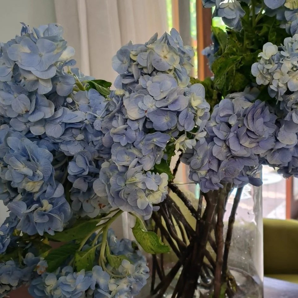 De rol van positiviteit en dankbaarheid in gezondheid en vitaliteit