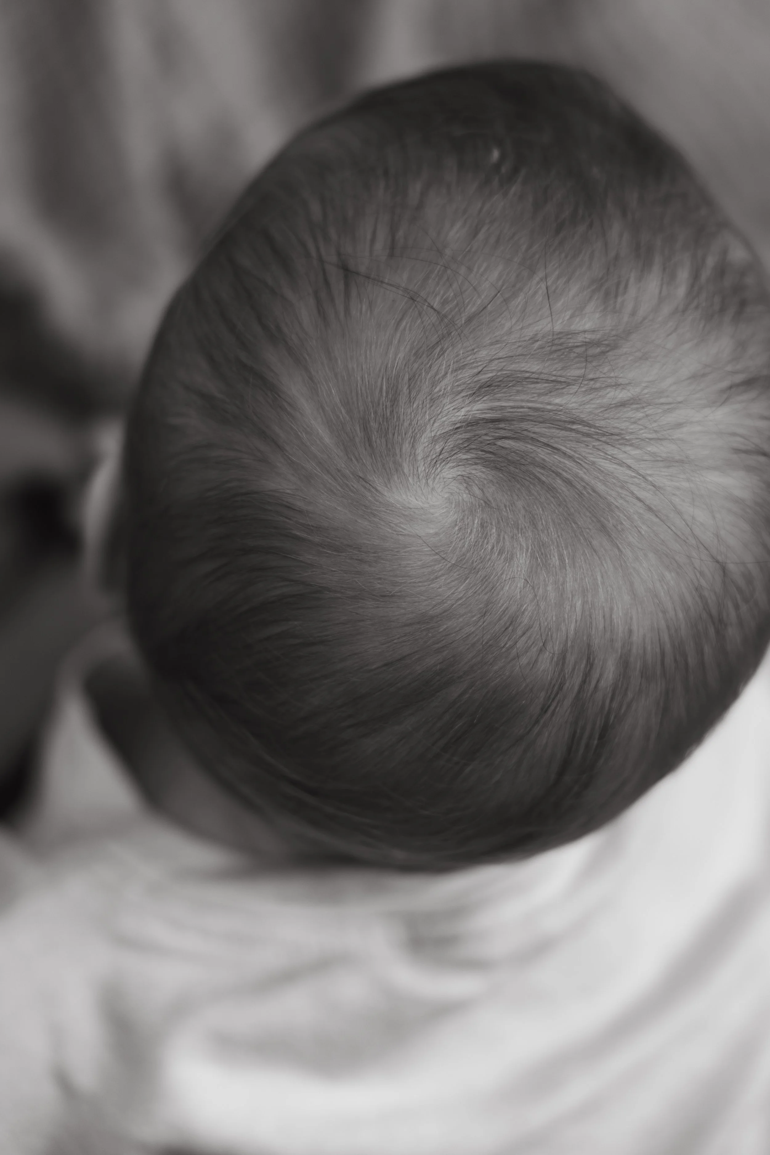 Close-up of a baby's head from above, showing soft hair and a gentle swirl pattern in the scalp with black and white filter.