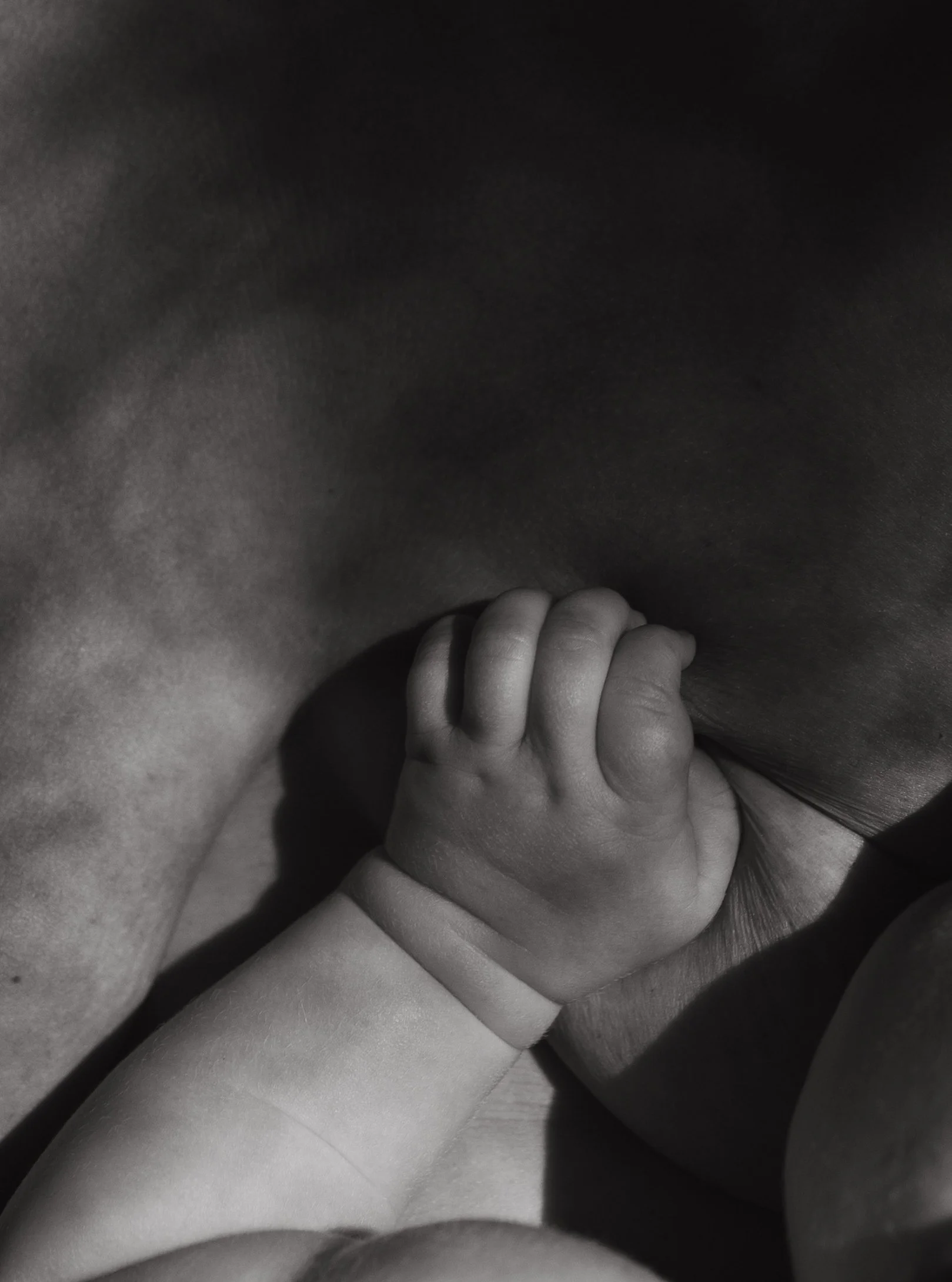A close-up black and white photo of a small baby's hand gripping an adult's finger.