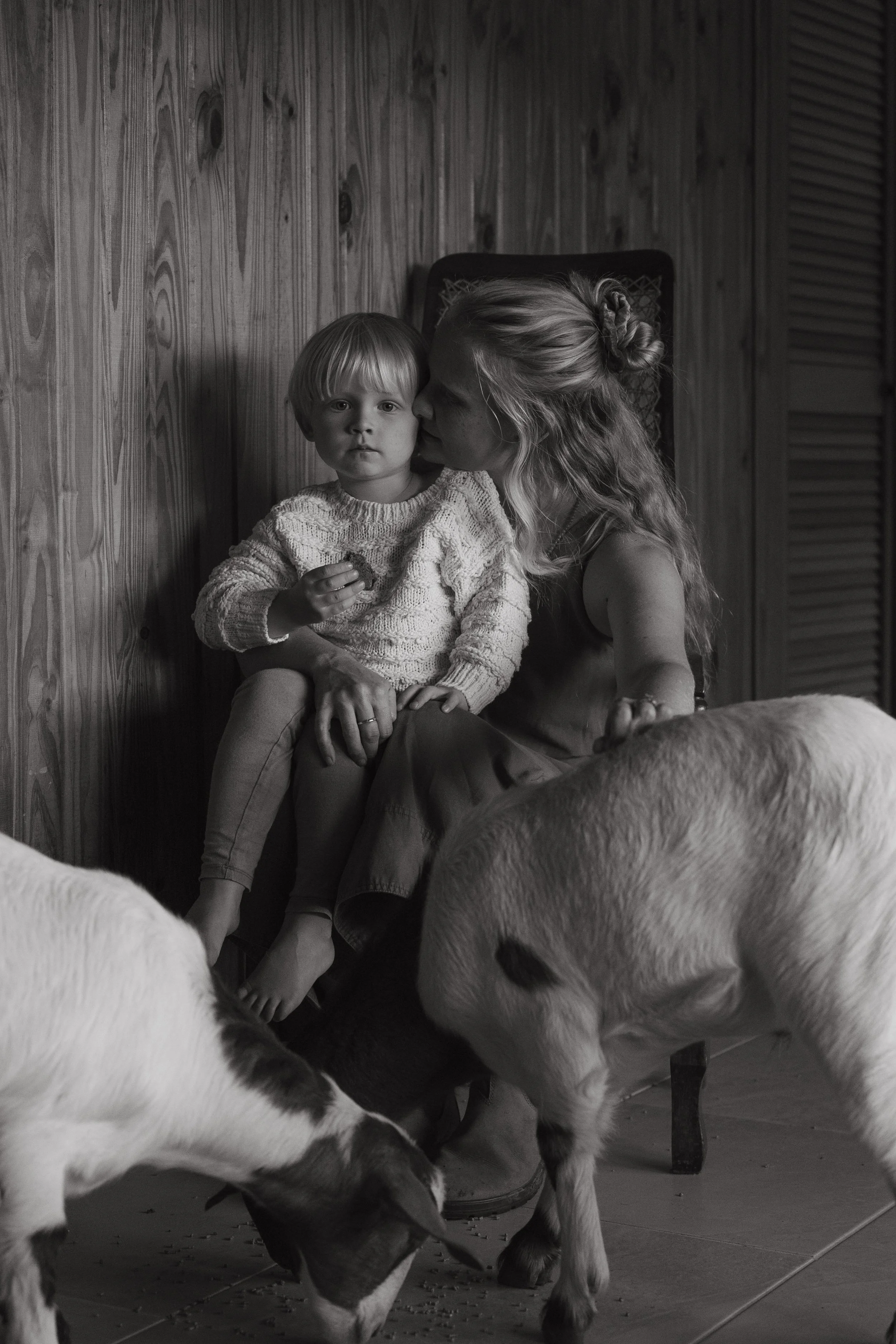 A black and white photo of a woman with long curly hair, sitting on a chair, holding a young boy with blond hair on her lap. The woman is whispering something to the boy, who is holding a snack. Two goats are grazing in front of them, with one head d