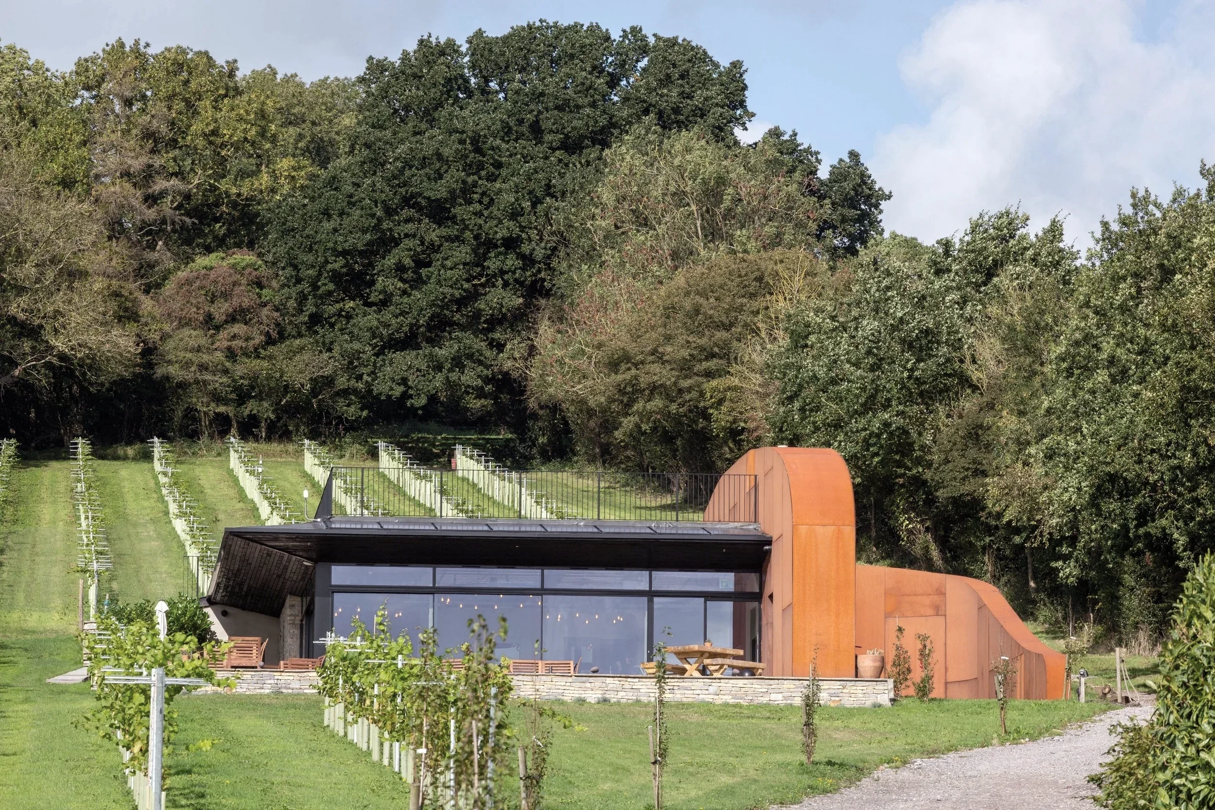 Wraxall Vineyard.webp