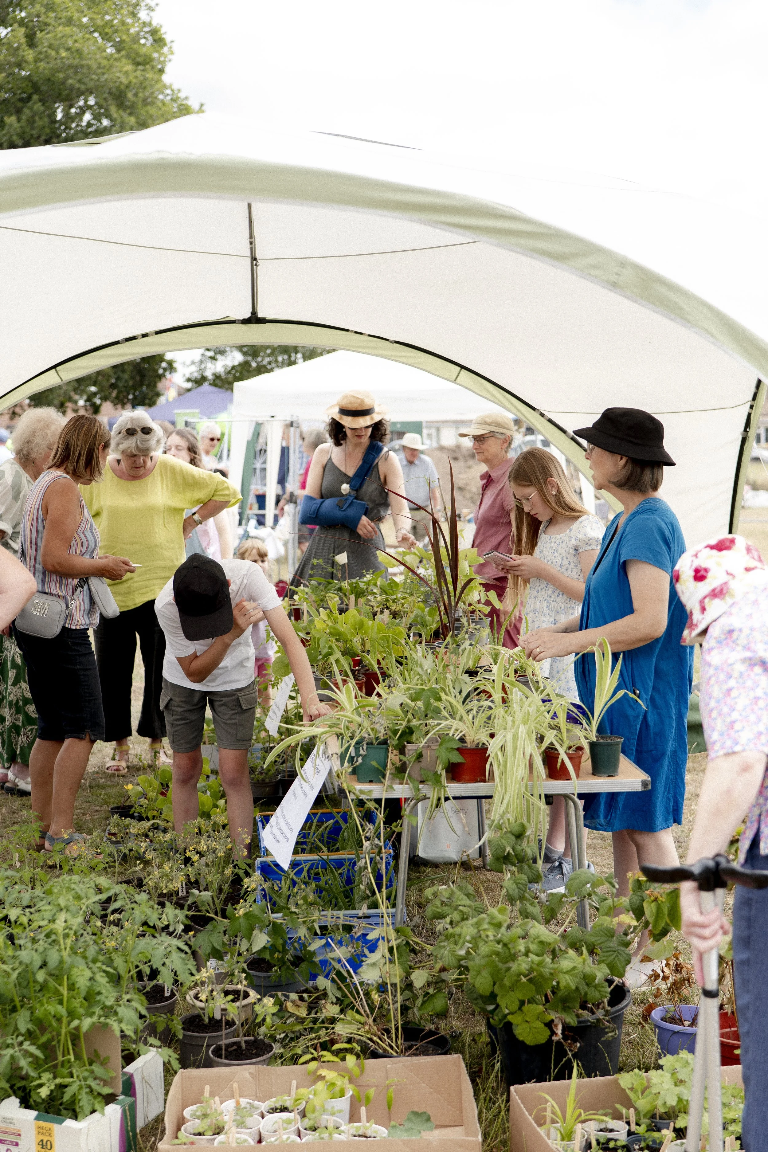 People browsing and shopping at a plant sale under a large white canopy, with various potted plants and gardening supplies on display.