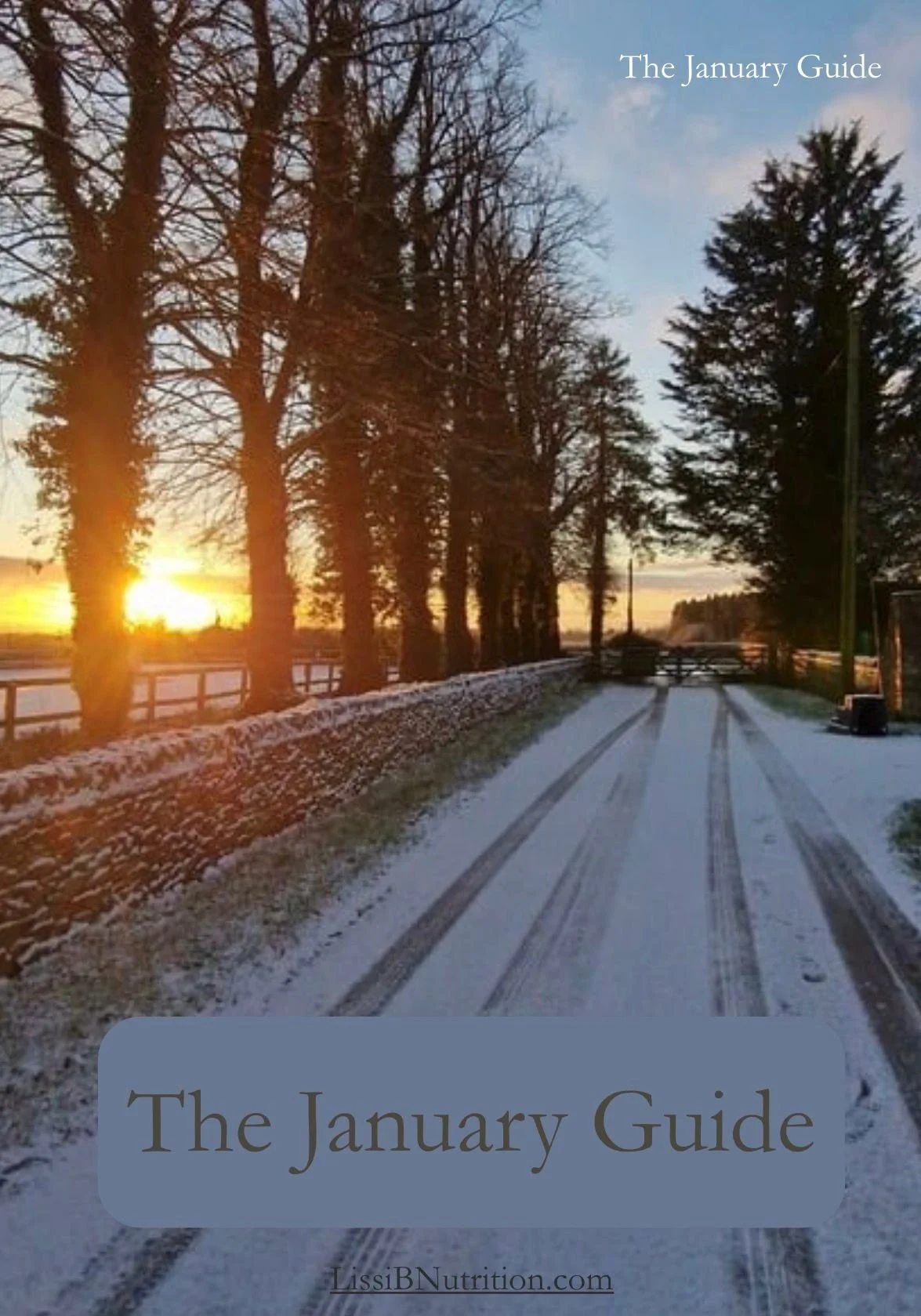 A scenic winter landscape with a snow-covered dirt road lined by tall, leafless trees on the left and some evergreen trees on the right. The sun is setting on the horizon, casting a warm glow over the scene. The cover mentions 'The January Guide' and includes the website LissiBNutrition.com.