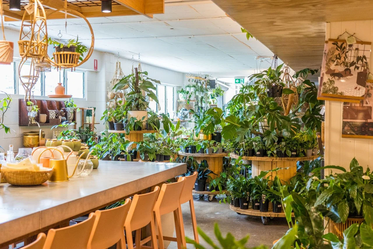 One Doc Home Loan for Cafe Owners: Why Accountants Say No (2026)
