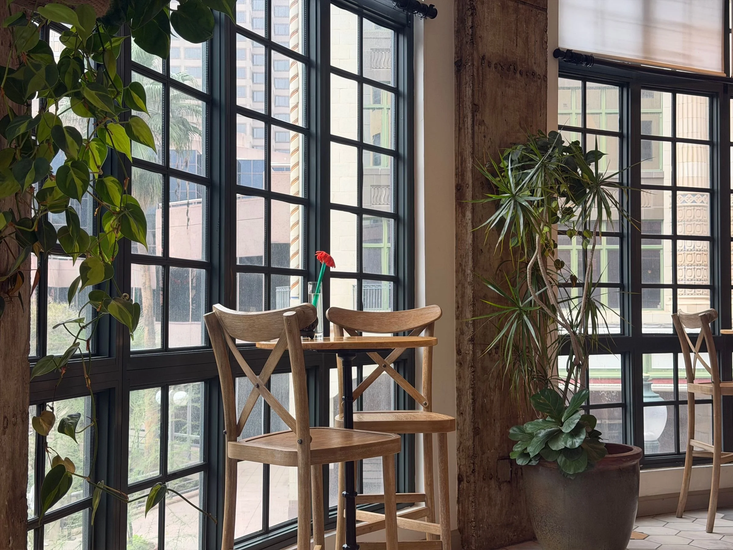 Cafe Equipment and the 30 June Installed-Ready Test