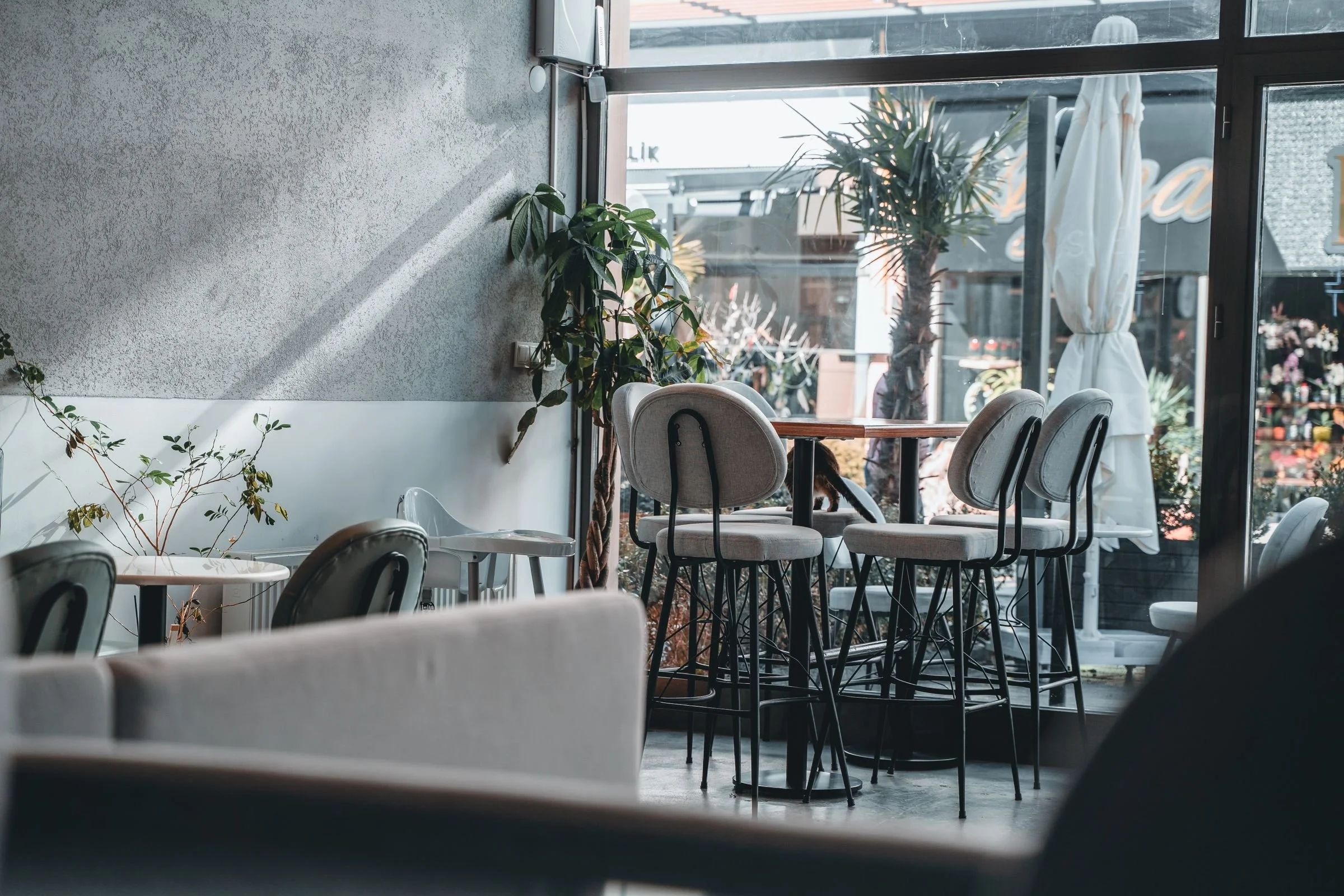 What a Cafe Can Fund at Each Trading History Tier