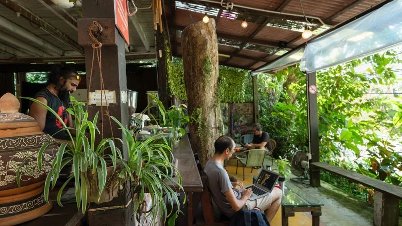 Café Merchant Facility Risk (2026) | Switchboard Finance