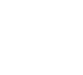 rdi railing logo in white