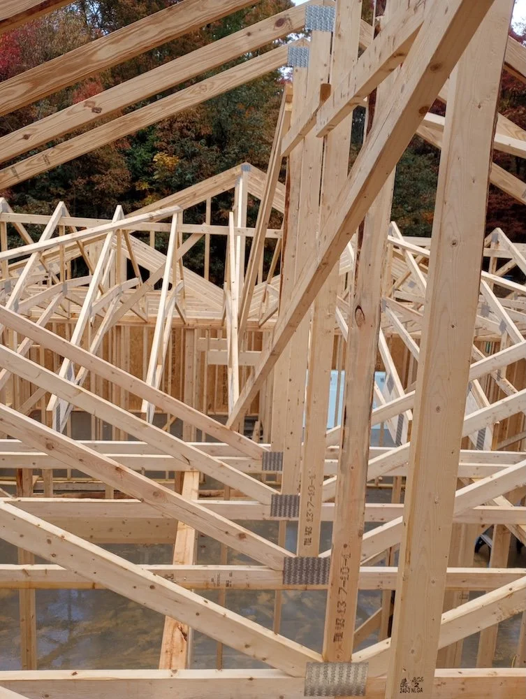 New home roof framing