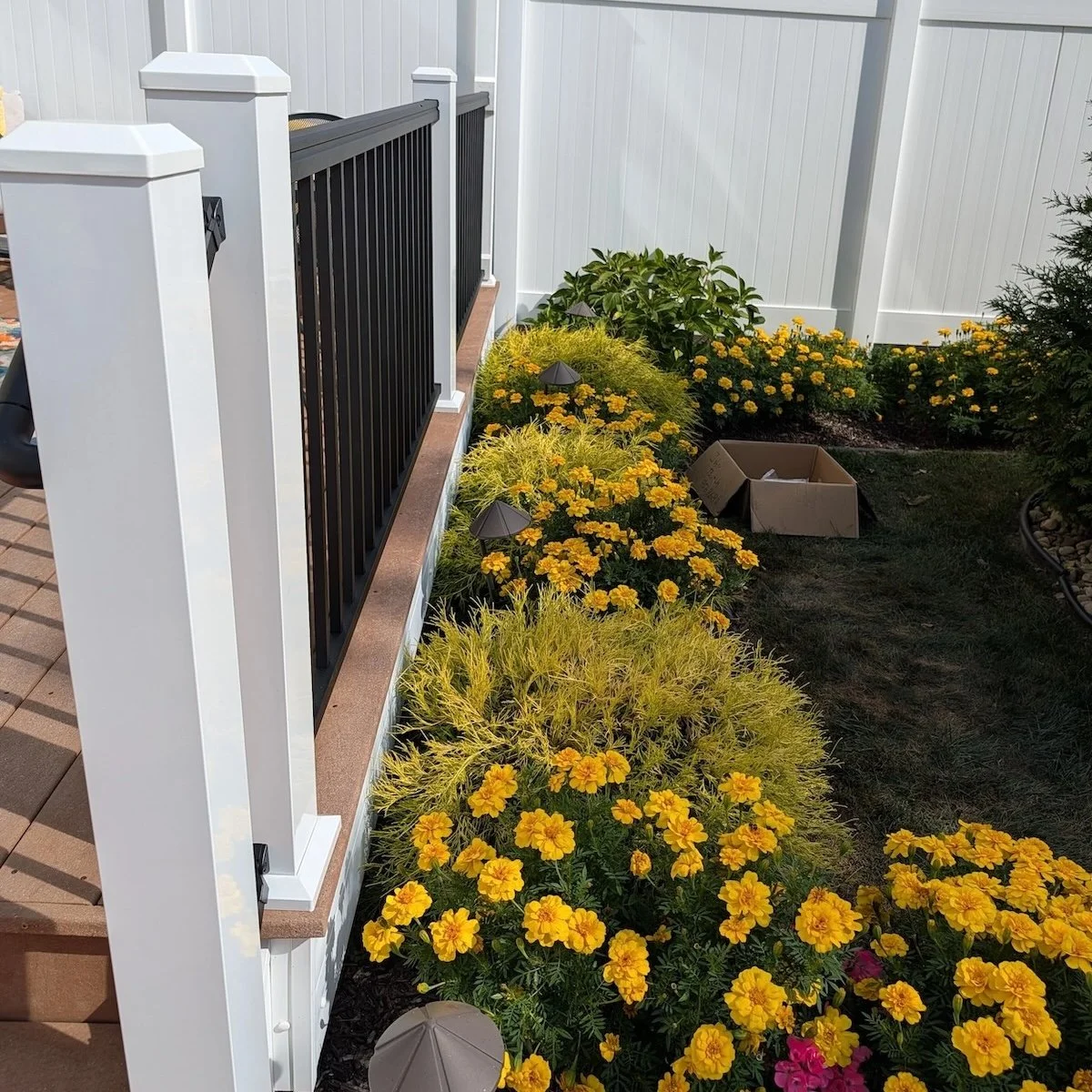 New RDI deck handrail and planting