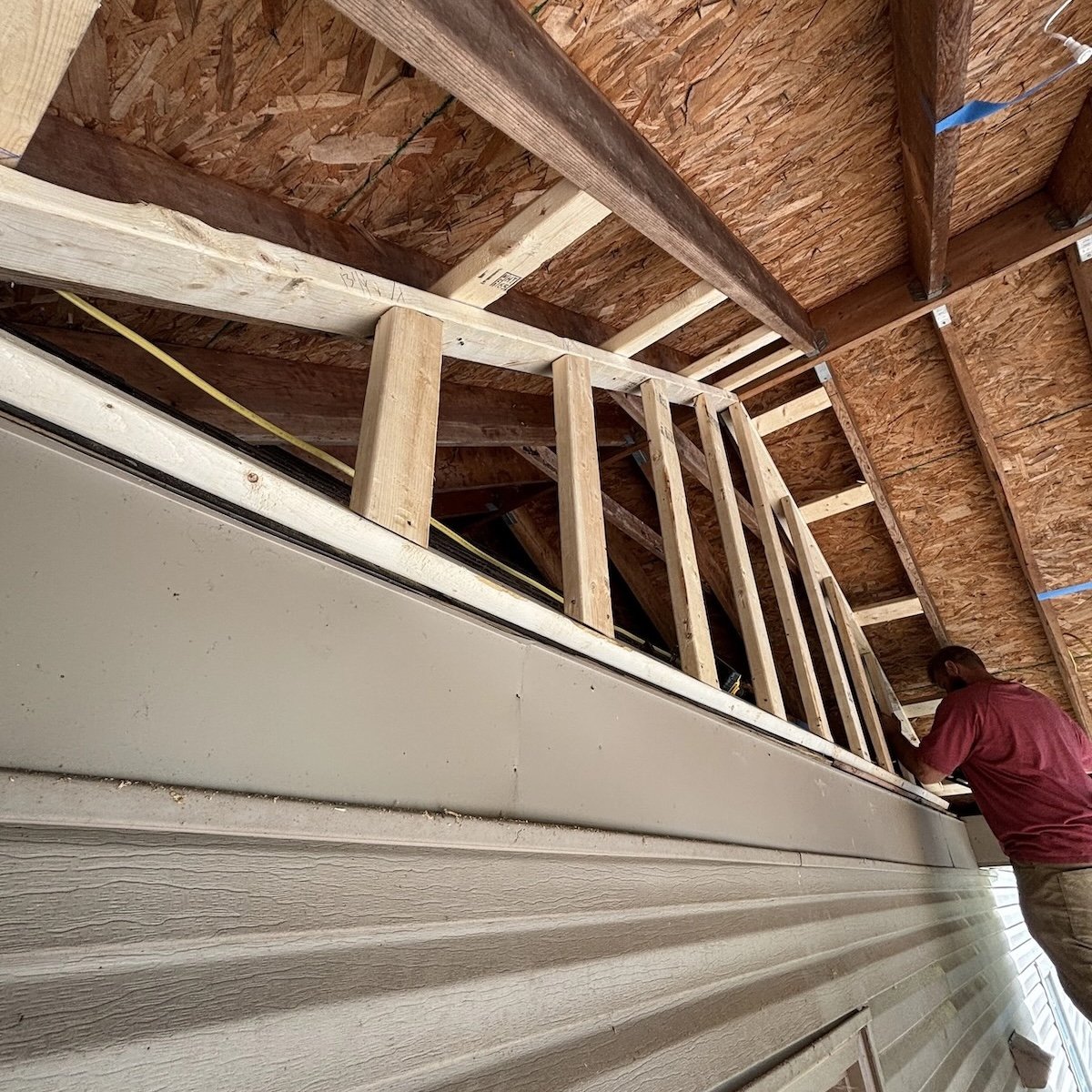 Cedar canopy roof framing and external wall frame