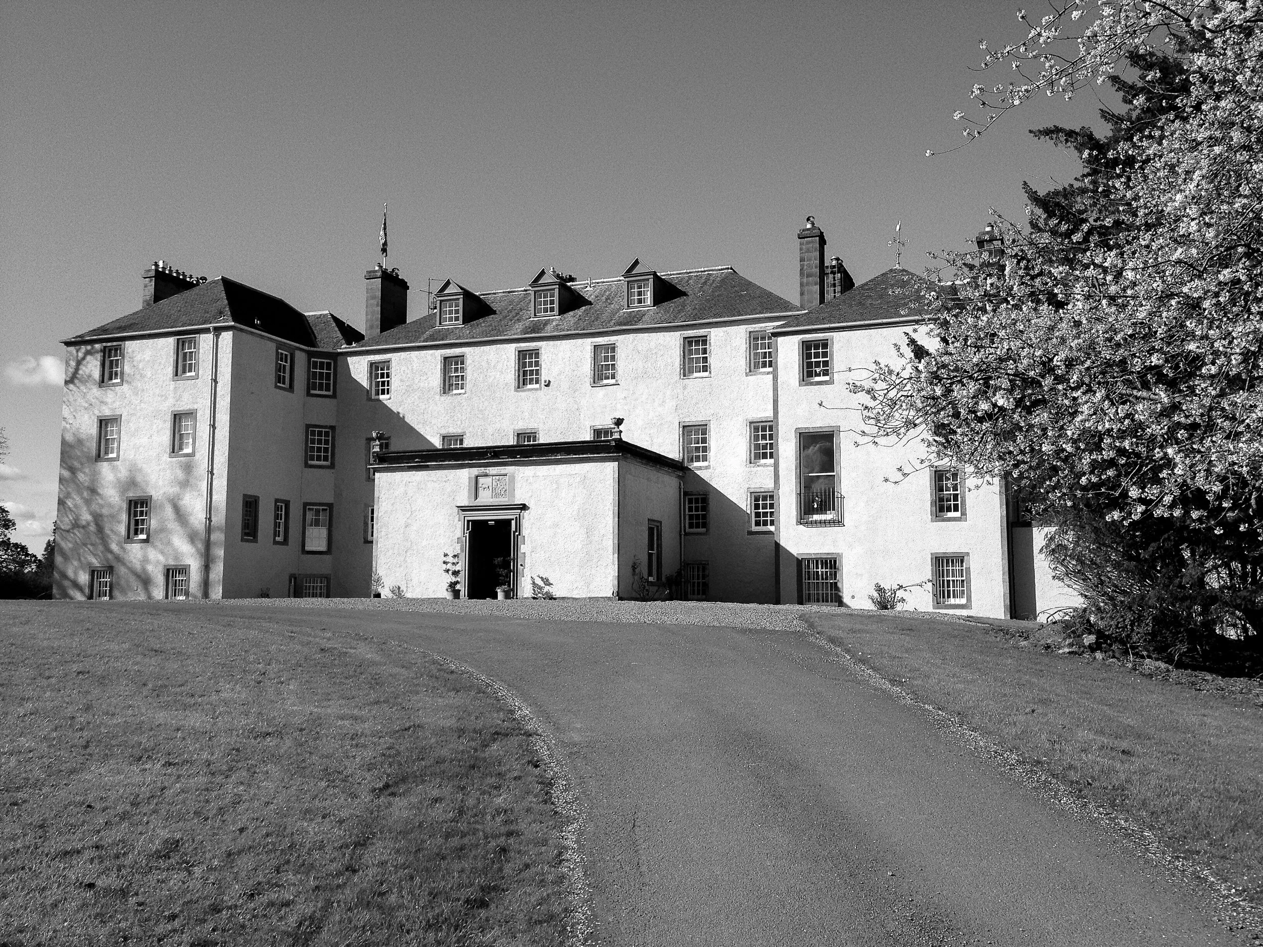 New Collection Artists From 2025