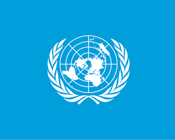  The Decline of the United Nations 