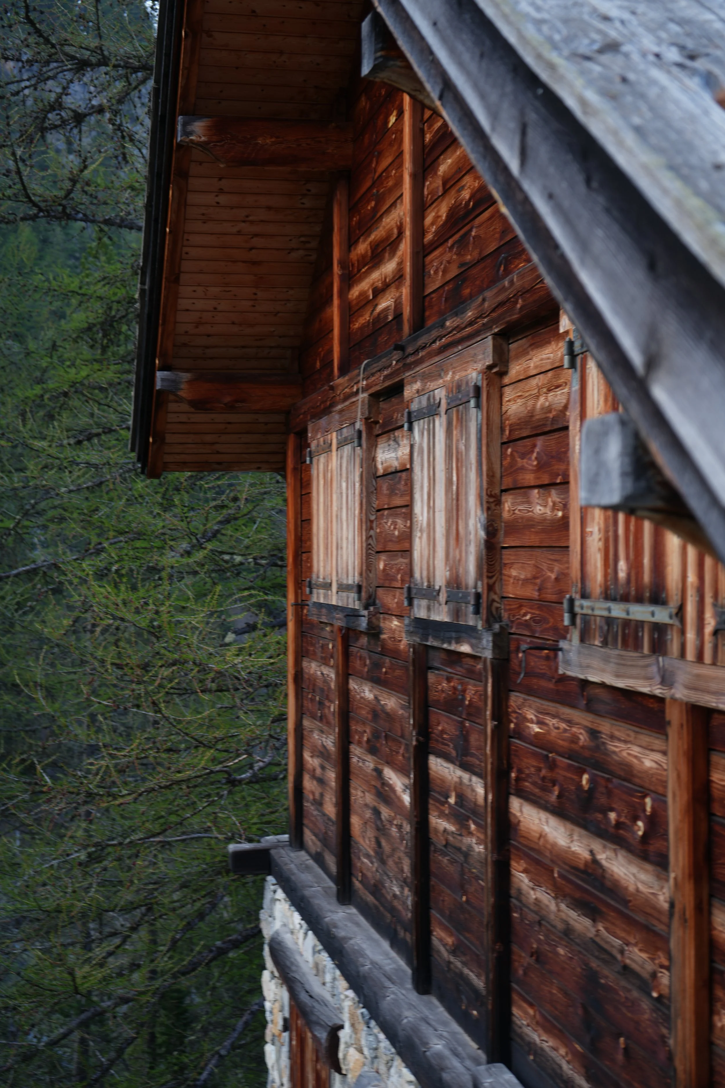 Une maison en bois avec des volets en bois, entourée d'arbres verts.