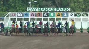 Caribbean Dreaming: Caymanas Racetrack
