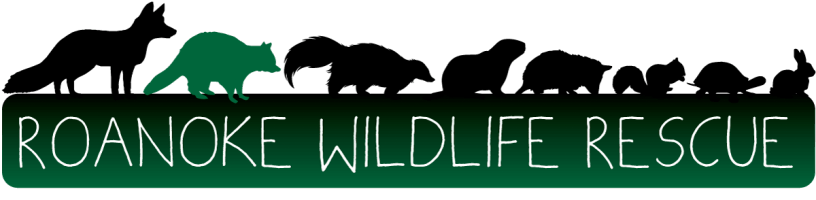 Roanoke Wildlife Rescue