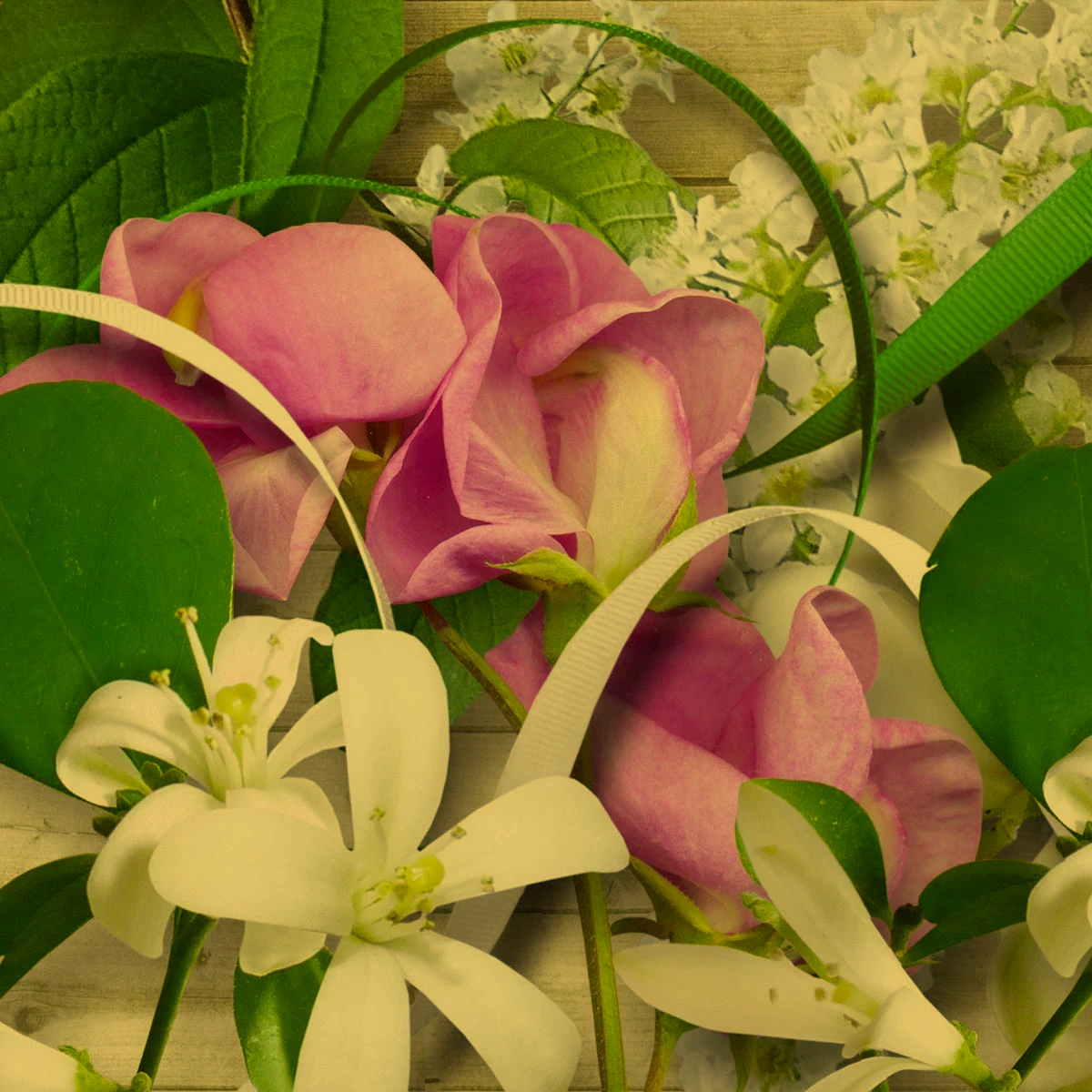 flowers.jpg.png