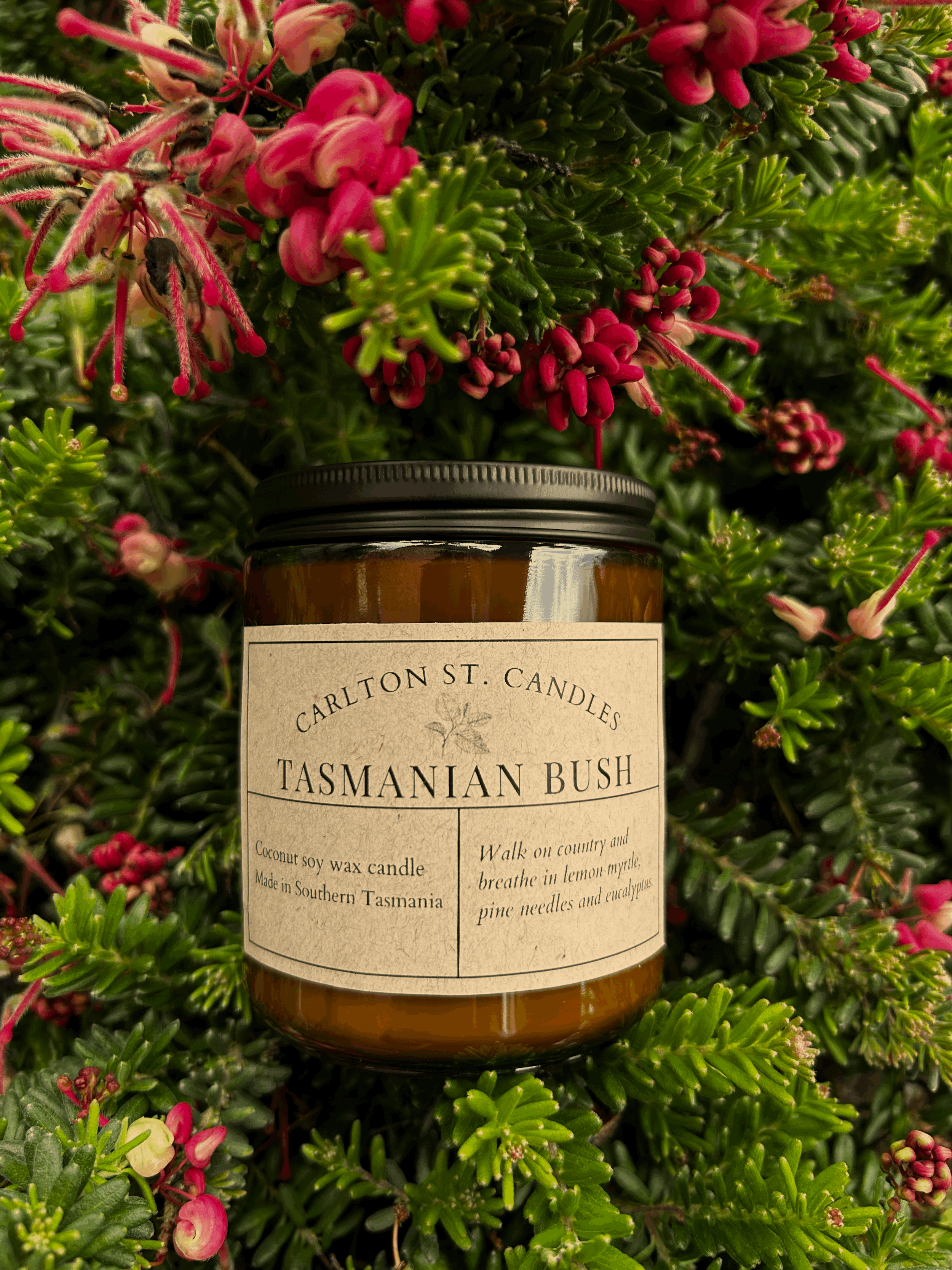 Tasmanian Bush Candle