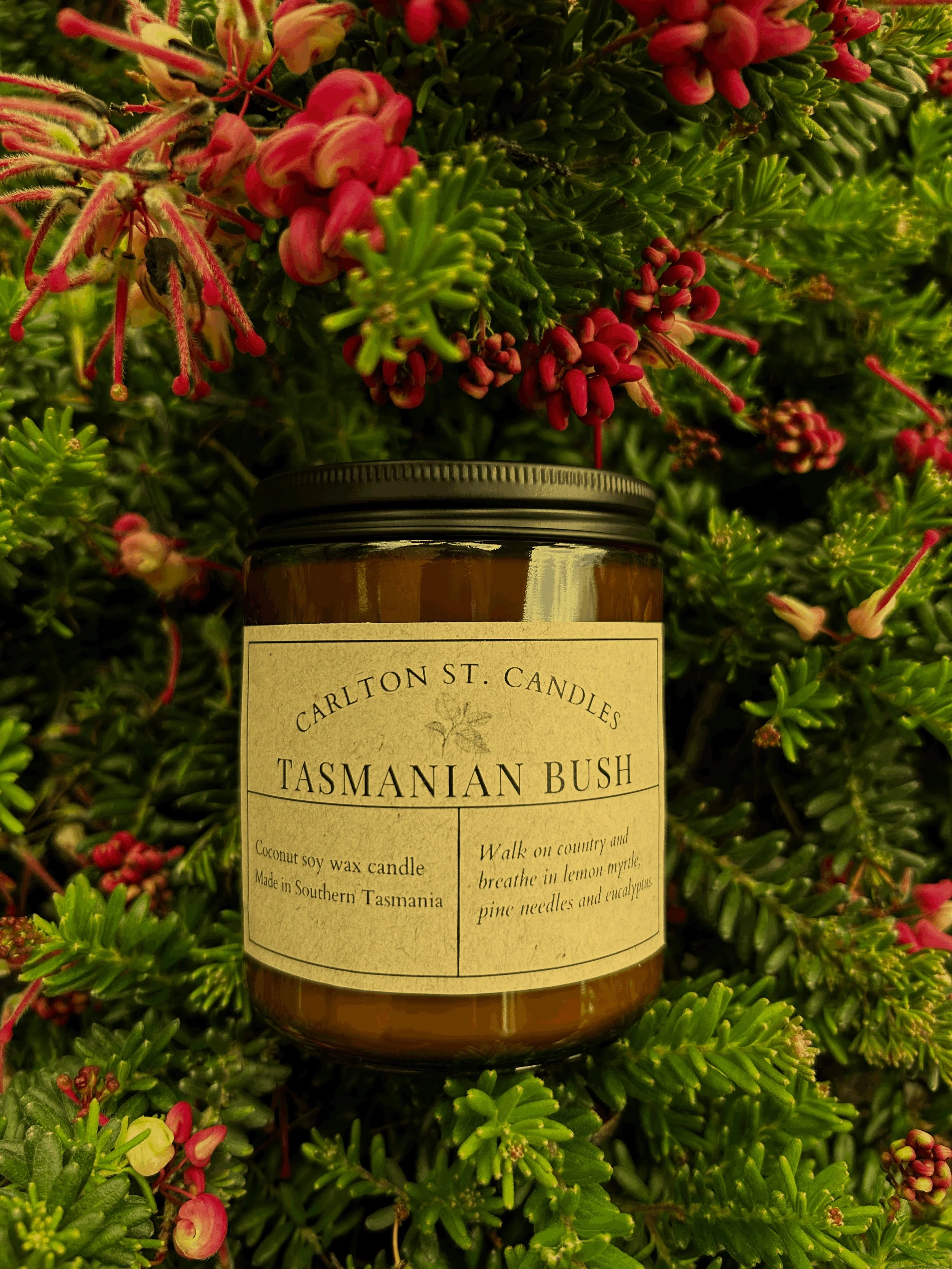 Tasmanian Bush Candle