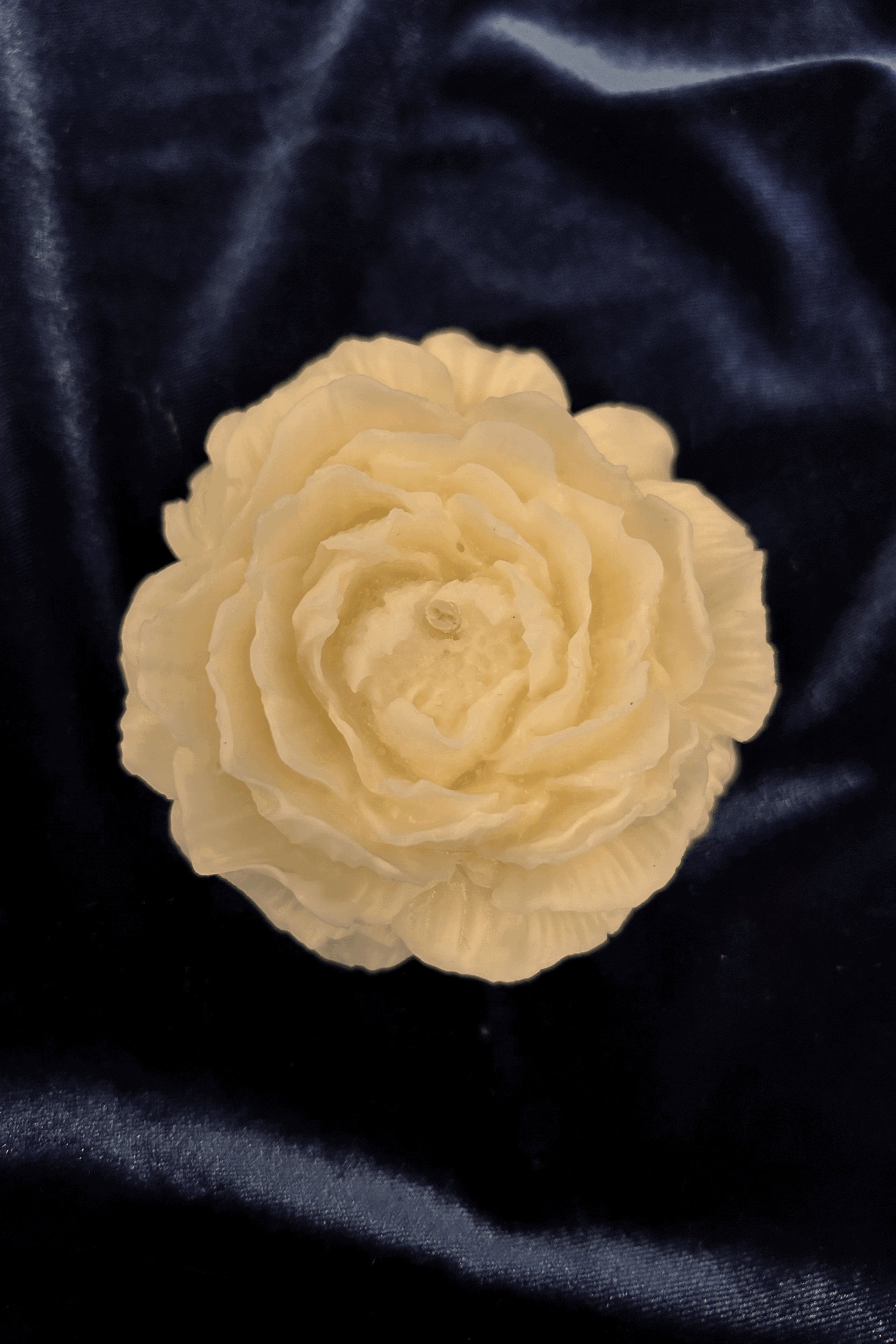 Peony Rose