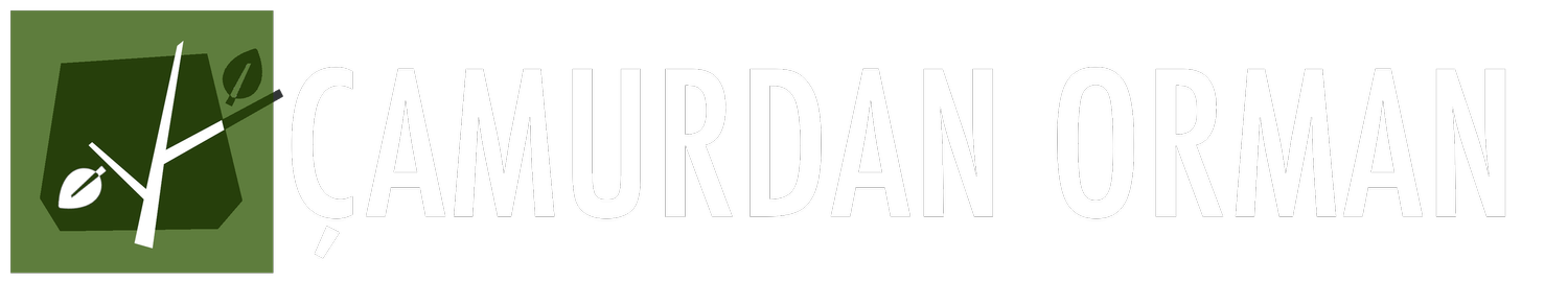 ÇAMURDAN ORMAN
