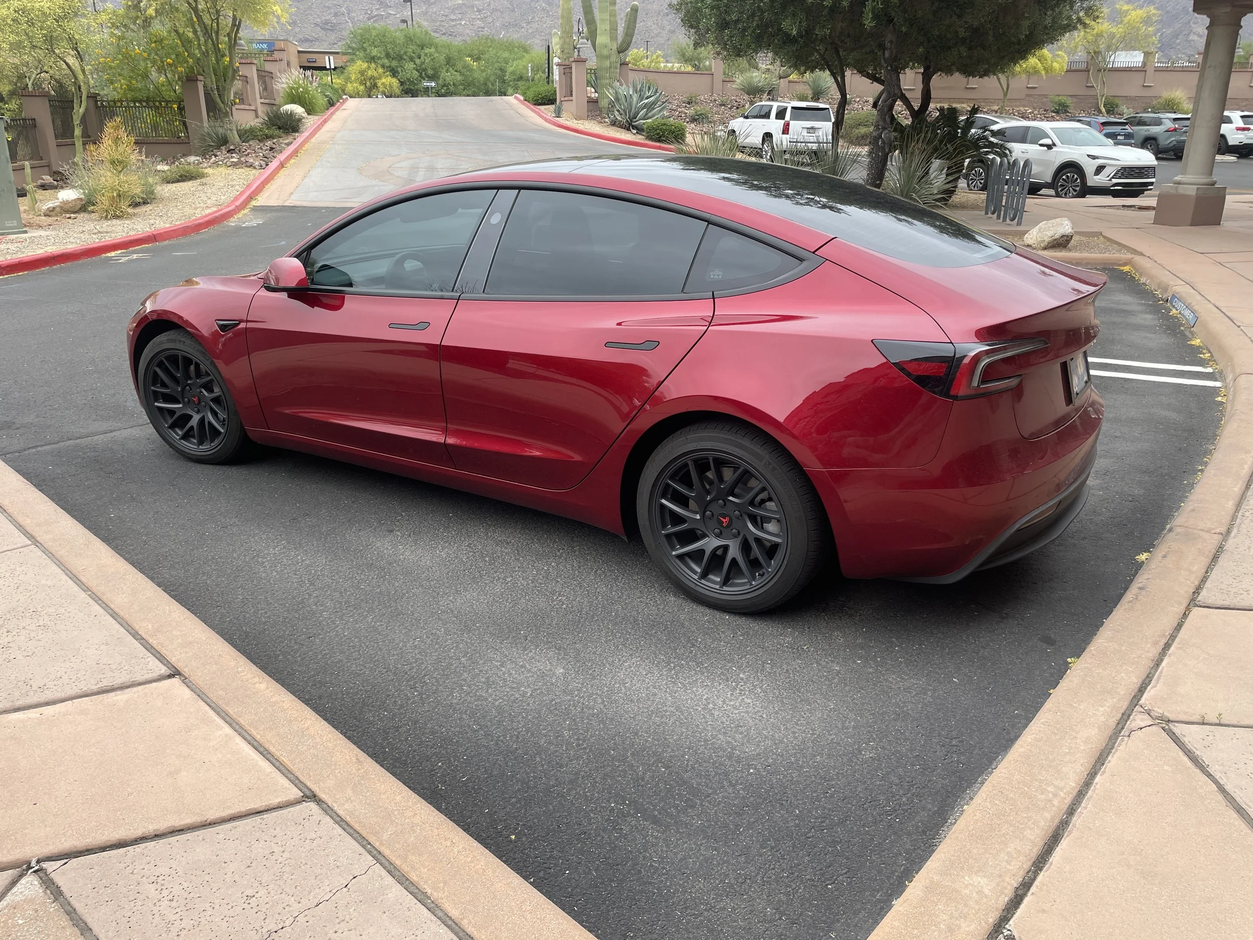 Carbohydrates - Video Blog