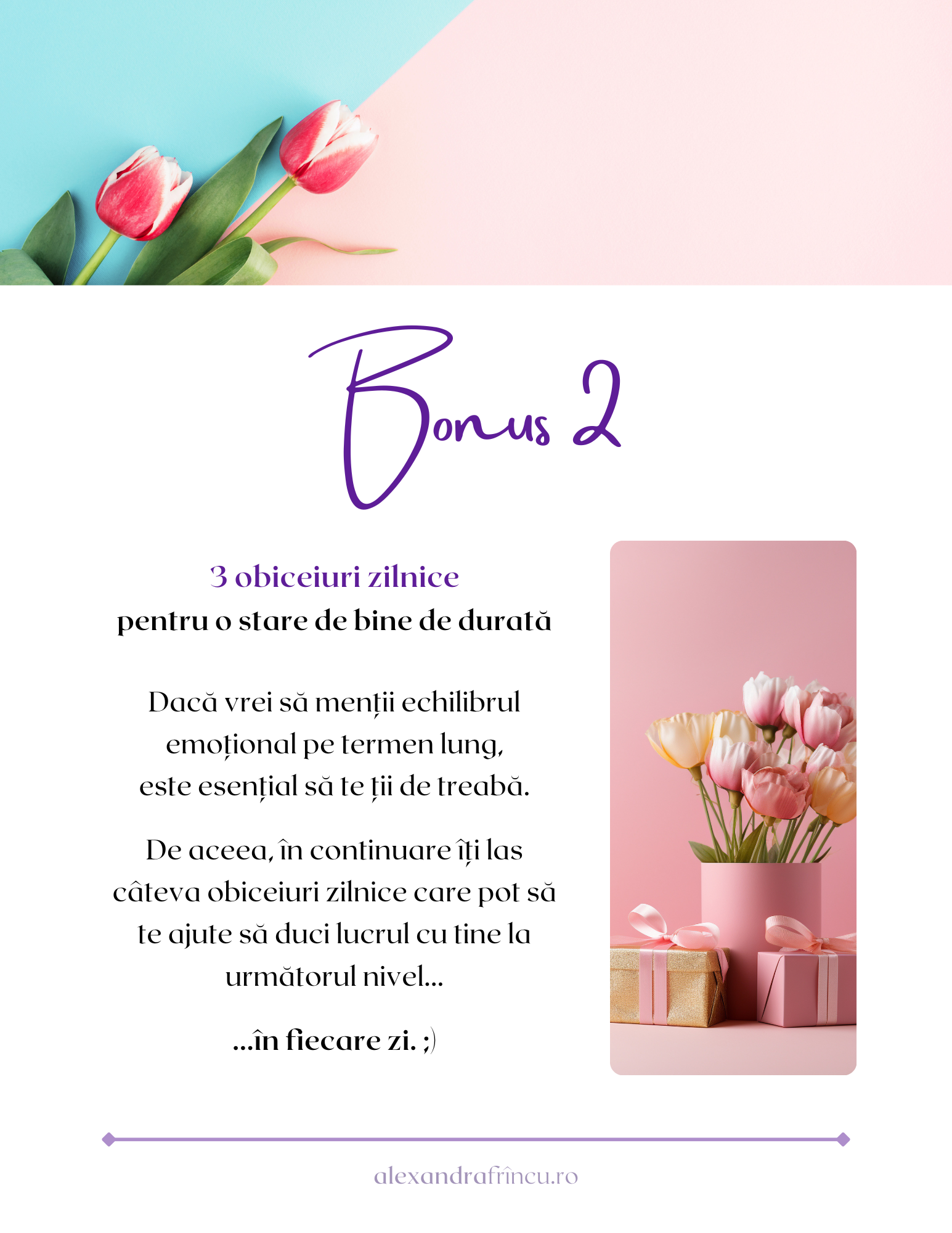 bonus2_E-book_Ritualuri_pentru_echilibru_emotional_Alexandra_Frincu.png