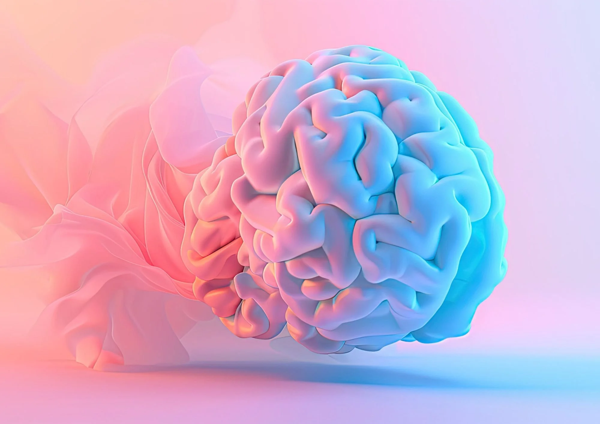 Stresul îți reconfigurează fizic creierul: ce spune știința despre legătura dintre minte și corp