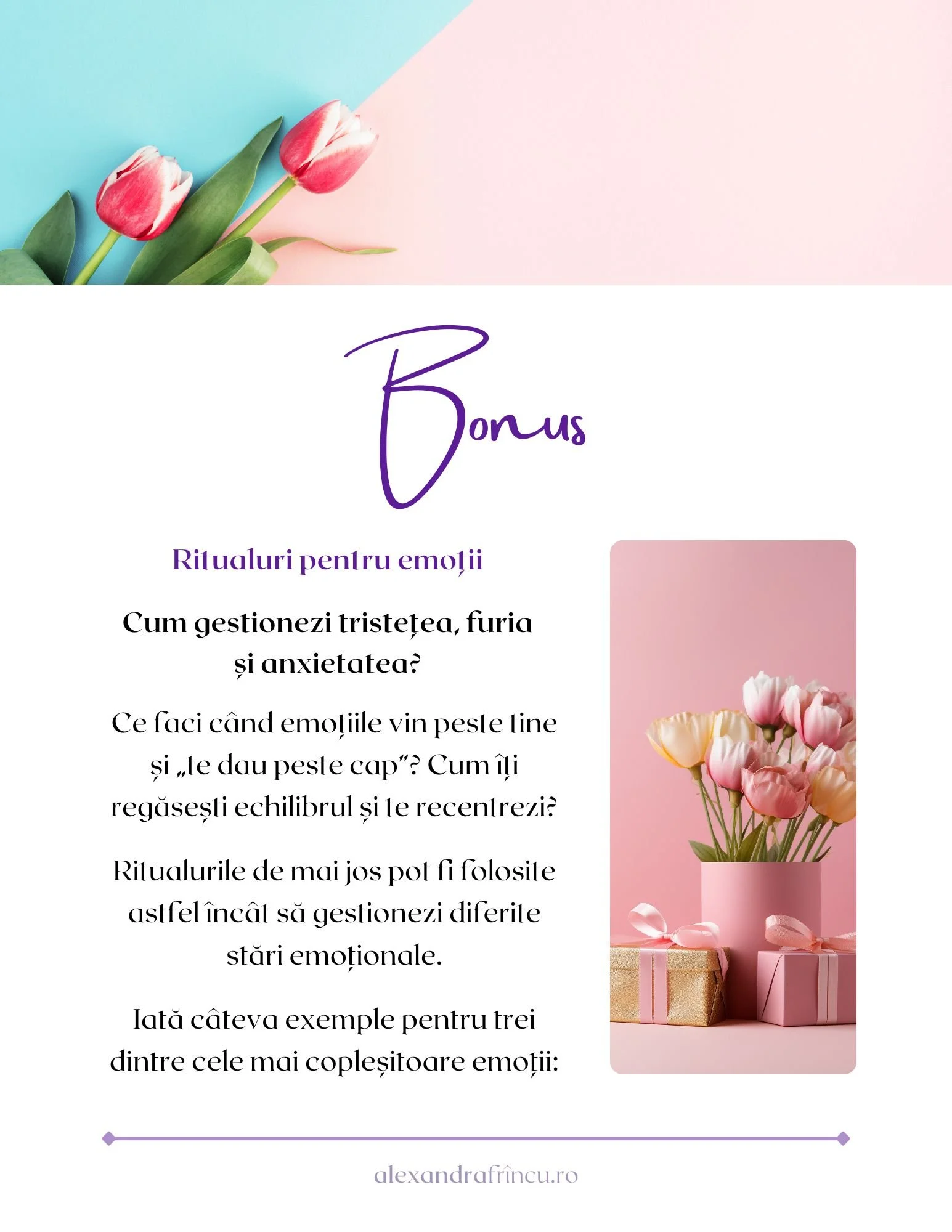 bonus1_E-book_Ritualuri_pentru_echilibru_emotional_Alexandra_Frincu.jpg