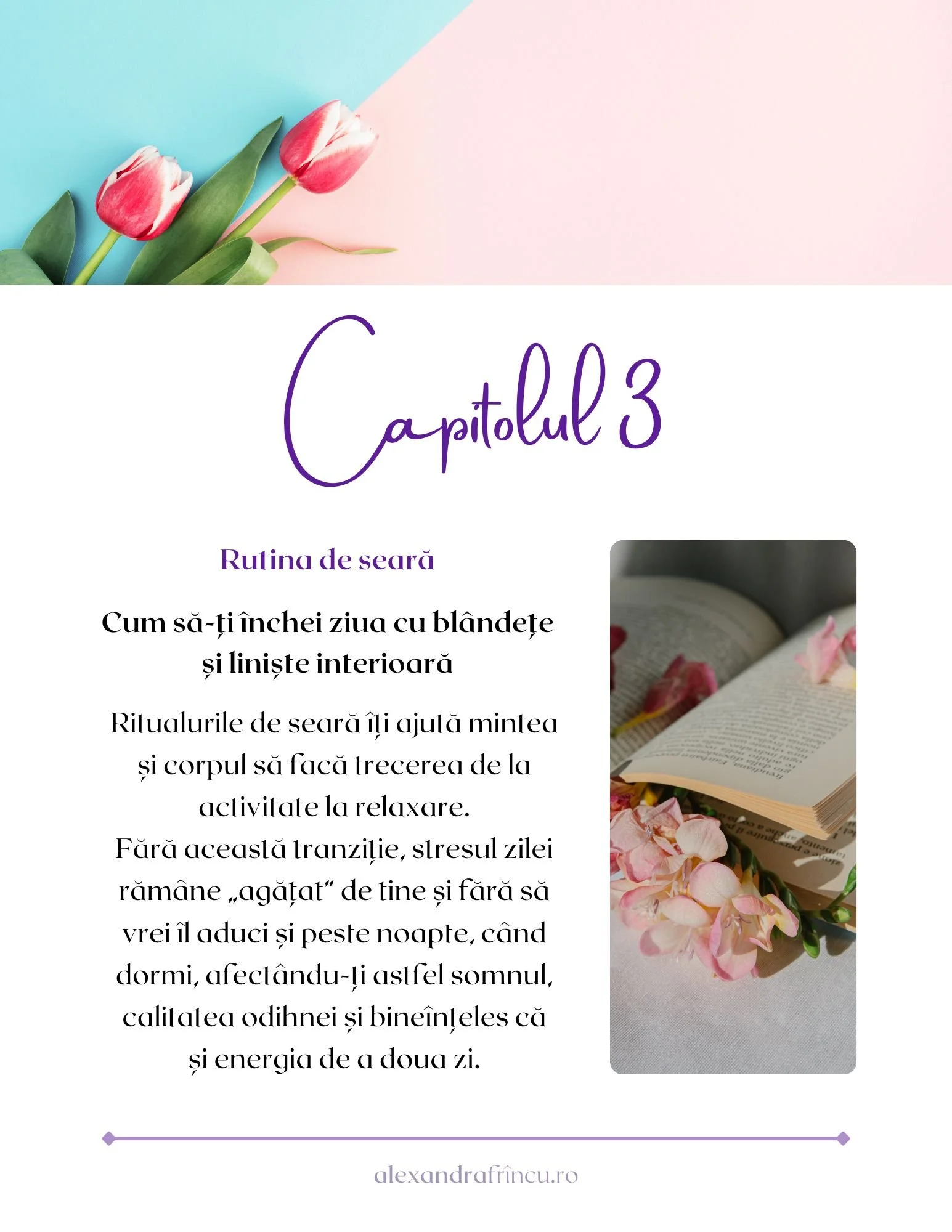 capitolul3_E-book_Ritualuri_pentru_echilibru_emotional_Alexandra_Frincu.jpg