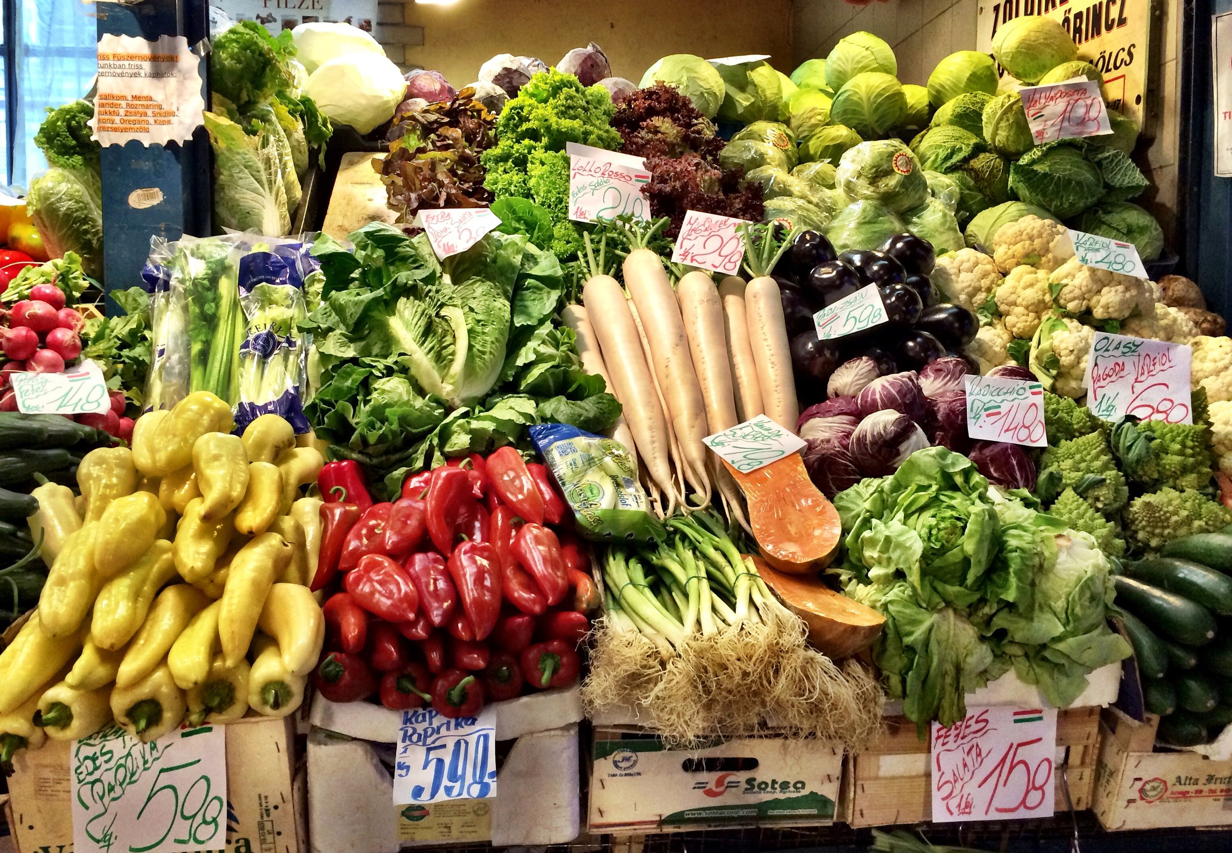 A display of fresh vegetables at a market, including radishes, bell peppers, lettuce, cauliflower, eggplant, green onions, and various leafy greens, with handwritten price tags.