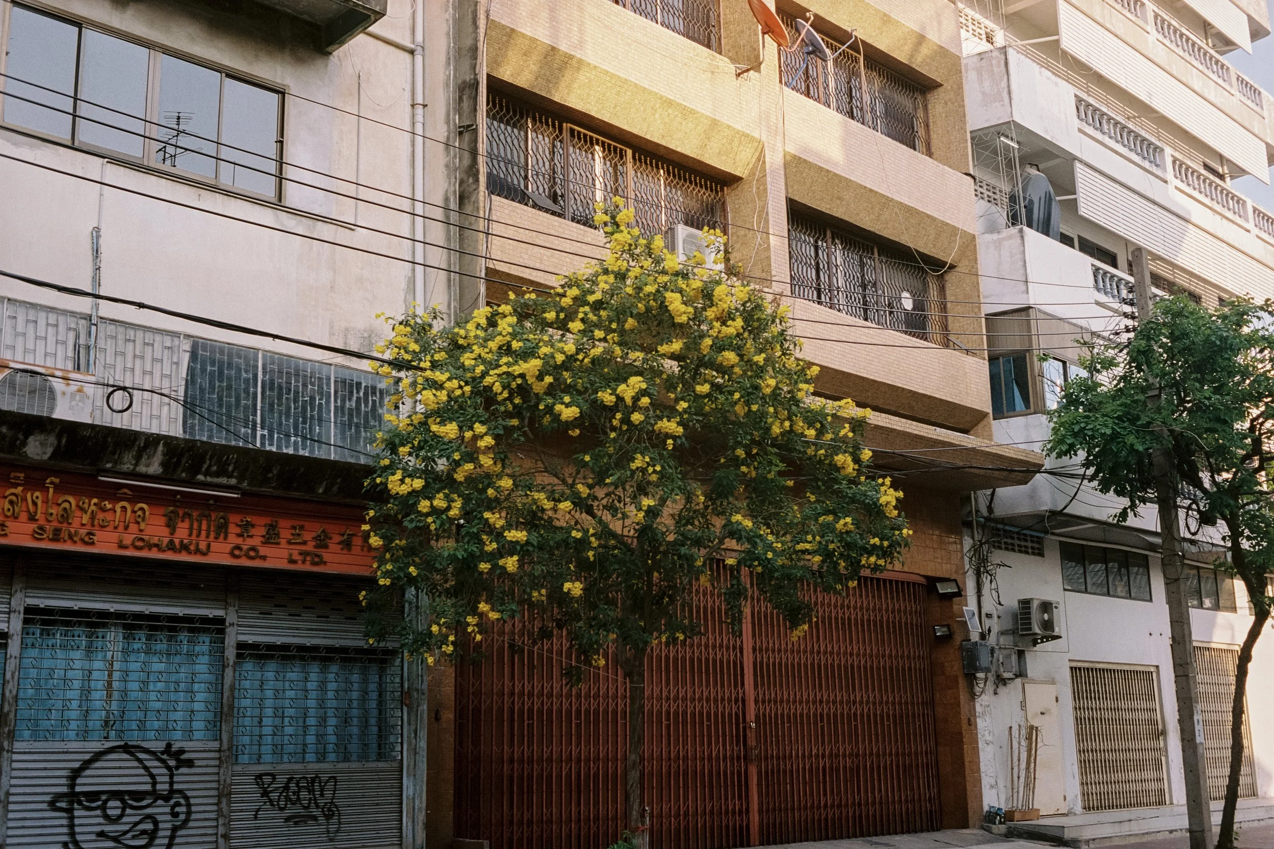 000027-4.jpg